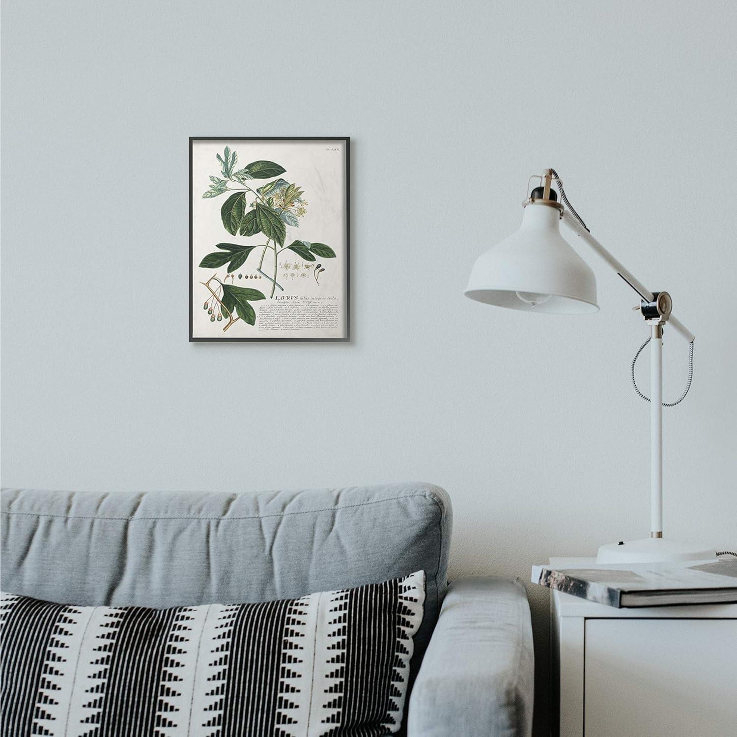 Stupell Industries Botanical Plant Illustration Green Leaves Vintage Design Framed Wall Art by Unknown