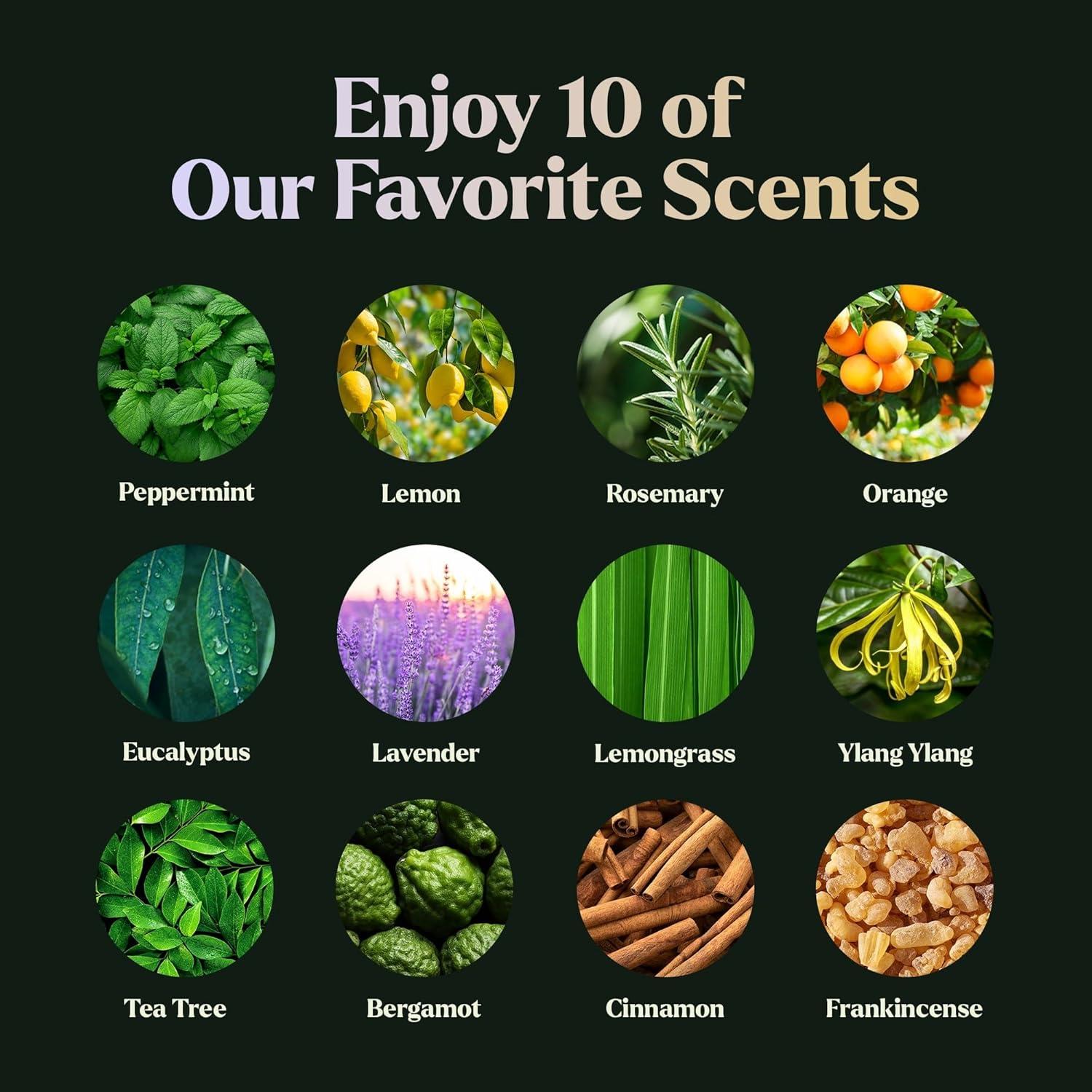 Lagunamoon 10-Pack Organic Essential Oils Set, 10mL, Top 10 Scents for Aromatherapy, Massage, Candle Making, Soap Scents, Office, Skin & Hair Care