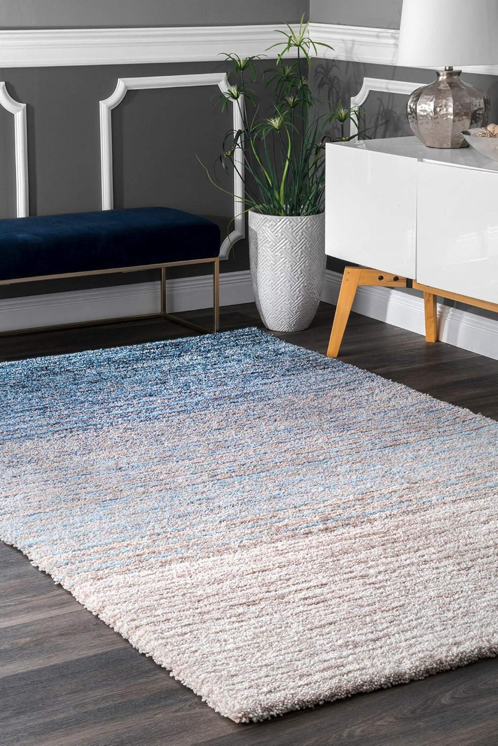 Nuloom Drey Ombre Shag Indoor Area Rug