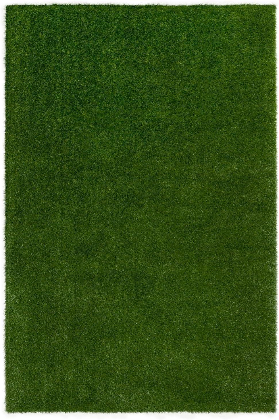 Joy Carpets Joy Carpets Greenspace Indoor/Outdoor Area Rug