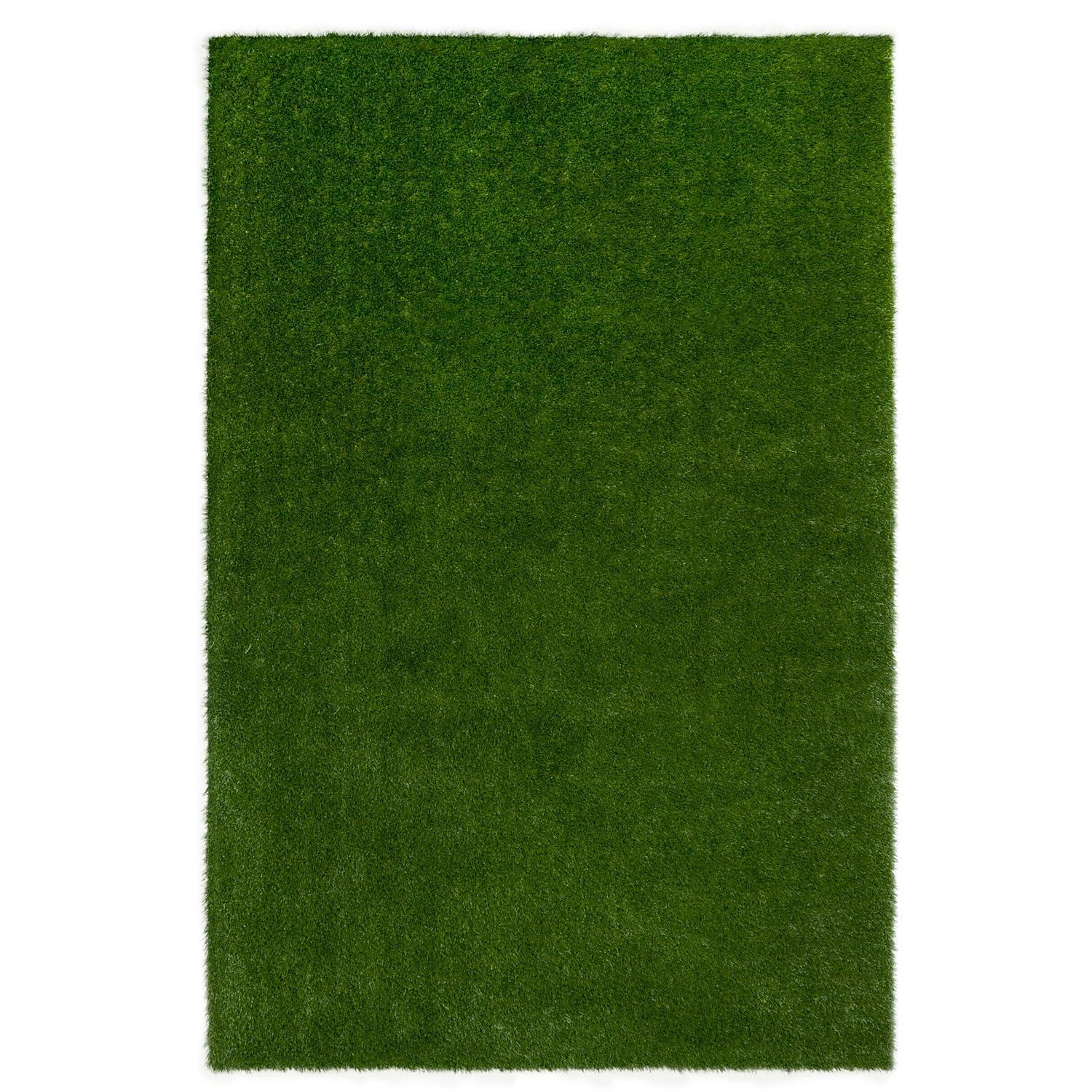 Joy Carpets Joy Carpets Greenspace Indoor/Outdoor Area Rug
