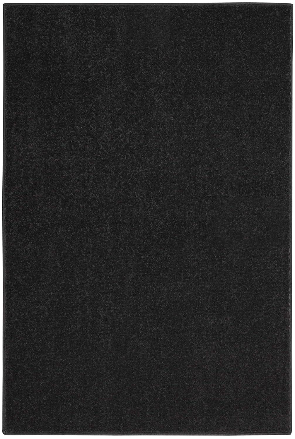 Nourison Essentials Easy Care Indoor Outdoor Area Rug - Black 2' x 4'