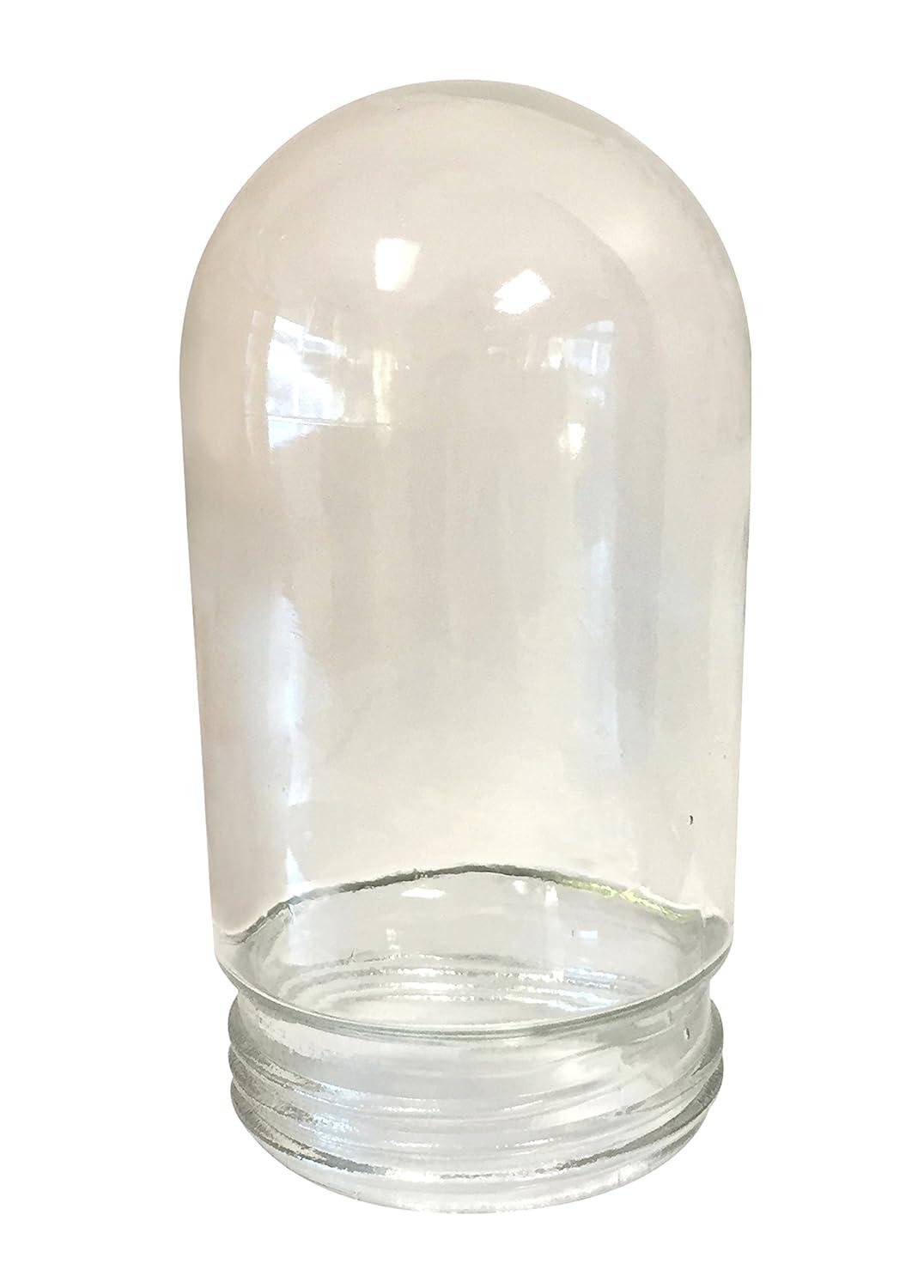 Canarm BL14CWS All Weather 1-Bulb Ceiling or Wall Mount All Weather Light with Clear Glass Globe, Grey Medium