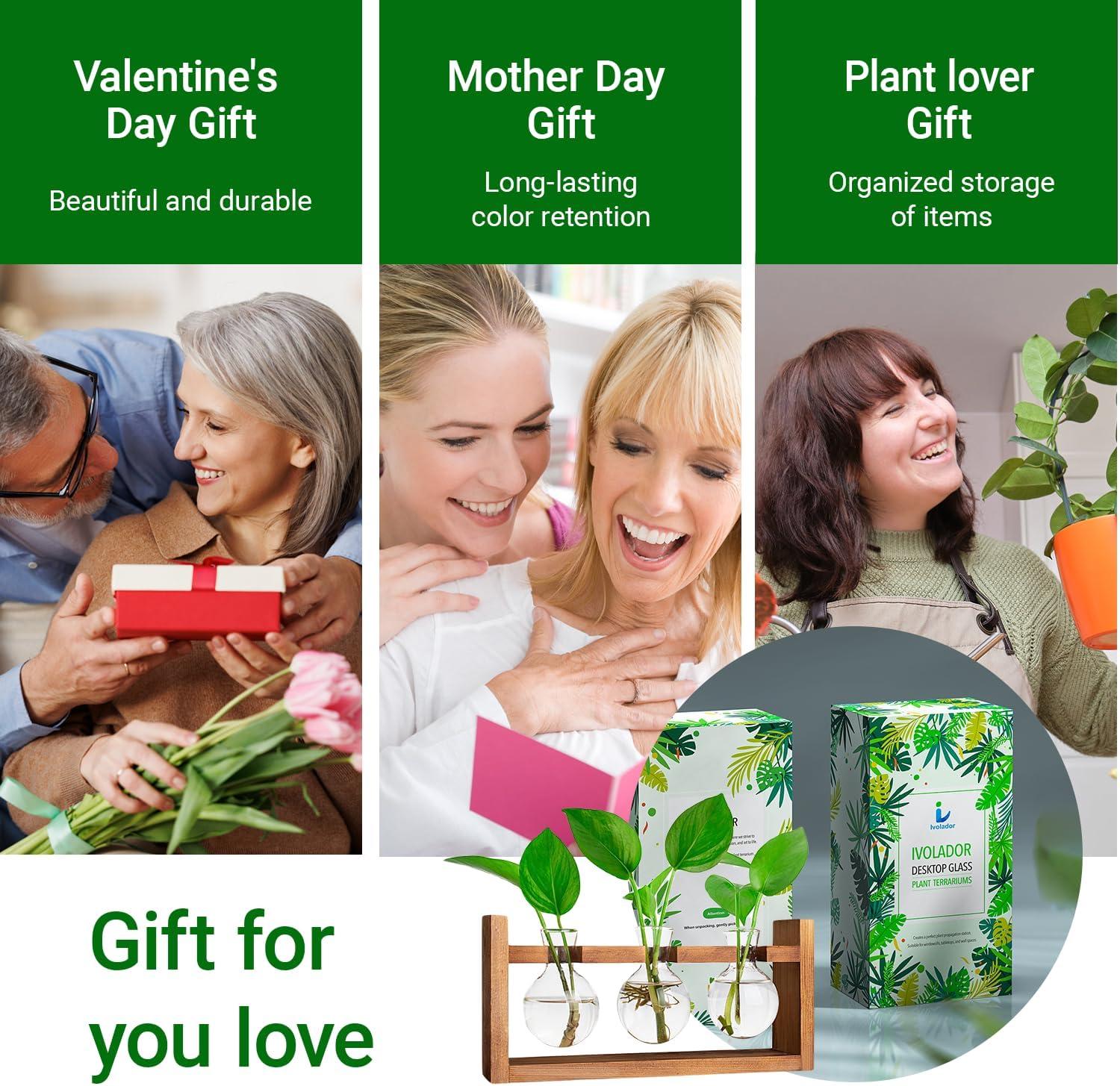 Plant Propagation Station,Plant Terrarium,Plant Starter,Gifts for Plant Lovers,Glass Bulb Terrarium with Retro Solid Wooden Stand for Hydroponics Plants Home Garden Wedding Décor (3 Bulbs)