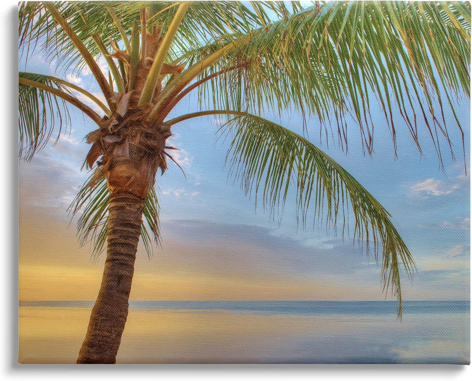 " Sunrise Palm Tree Sky Reflection " by Jack Reed