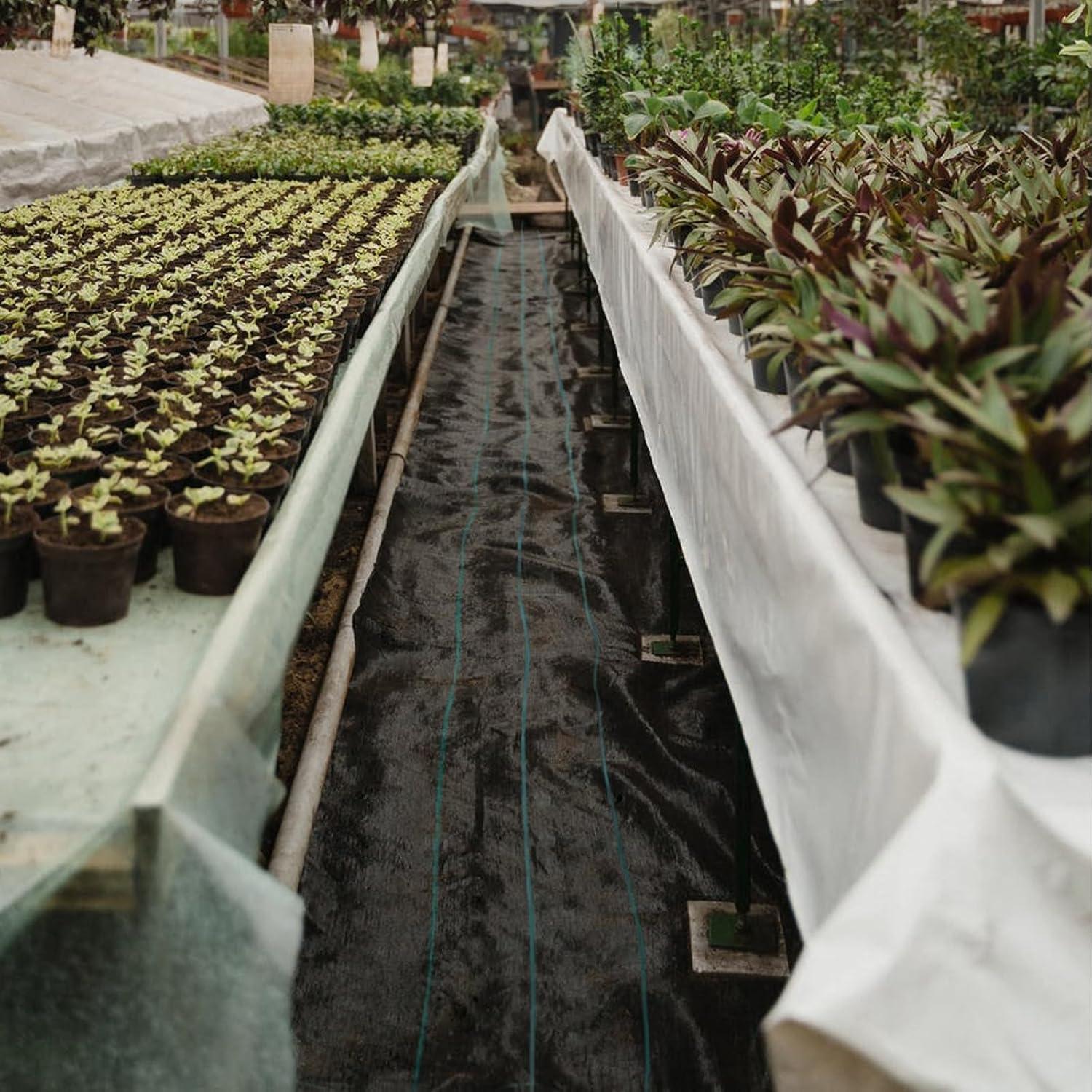 VEVOR VEVOR Growing Kit