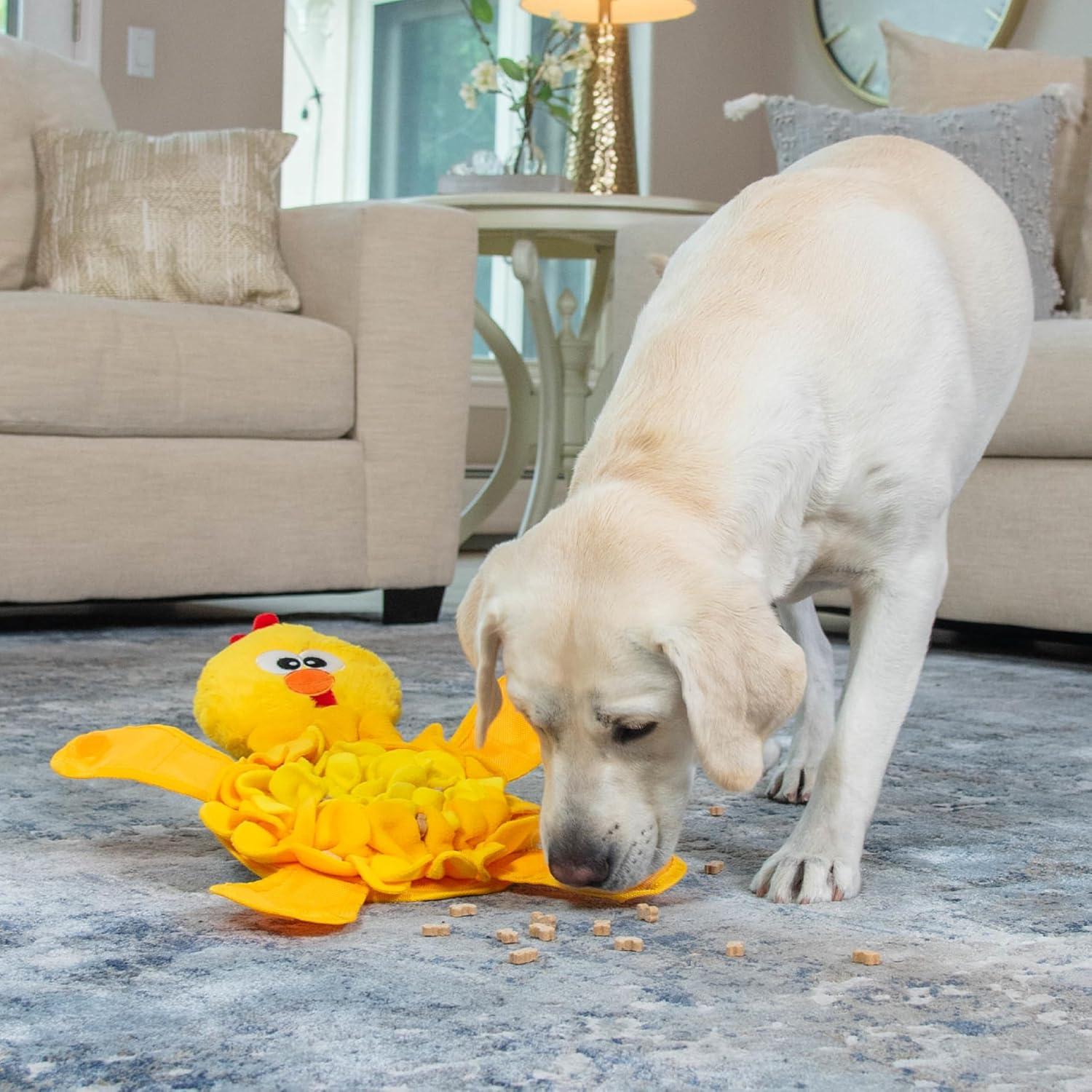 Kyjen 103804 Outward Hound Snuffle Palz Chicken Dog Toy - Large