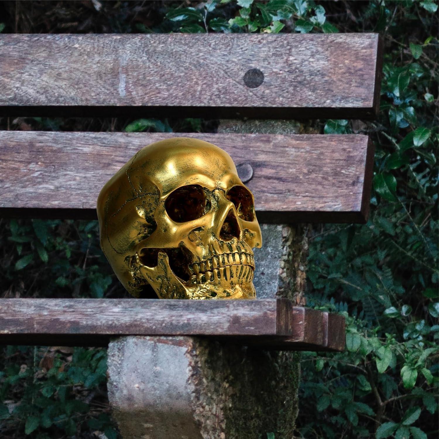 Resin Gold Skull Model - Life Size High Fidelity Sculpture for Halloween Decor Statues, Home Decoration & Artistic Display