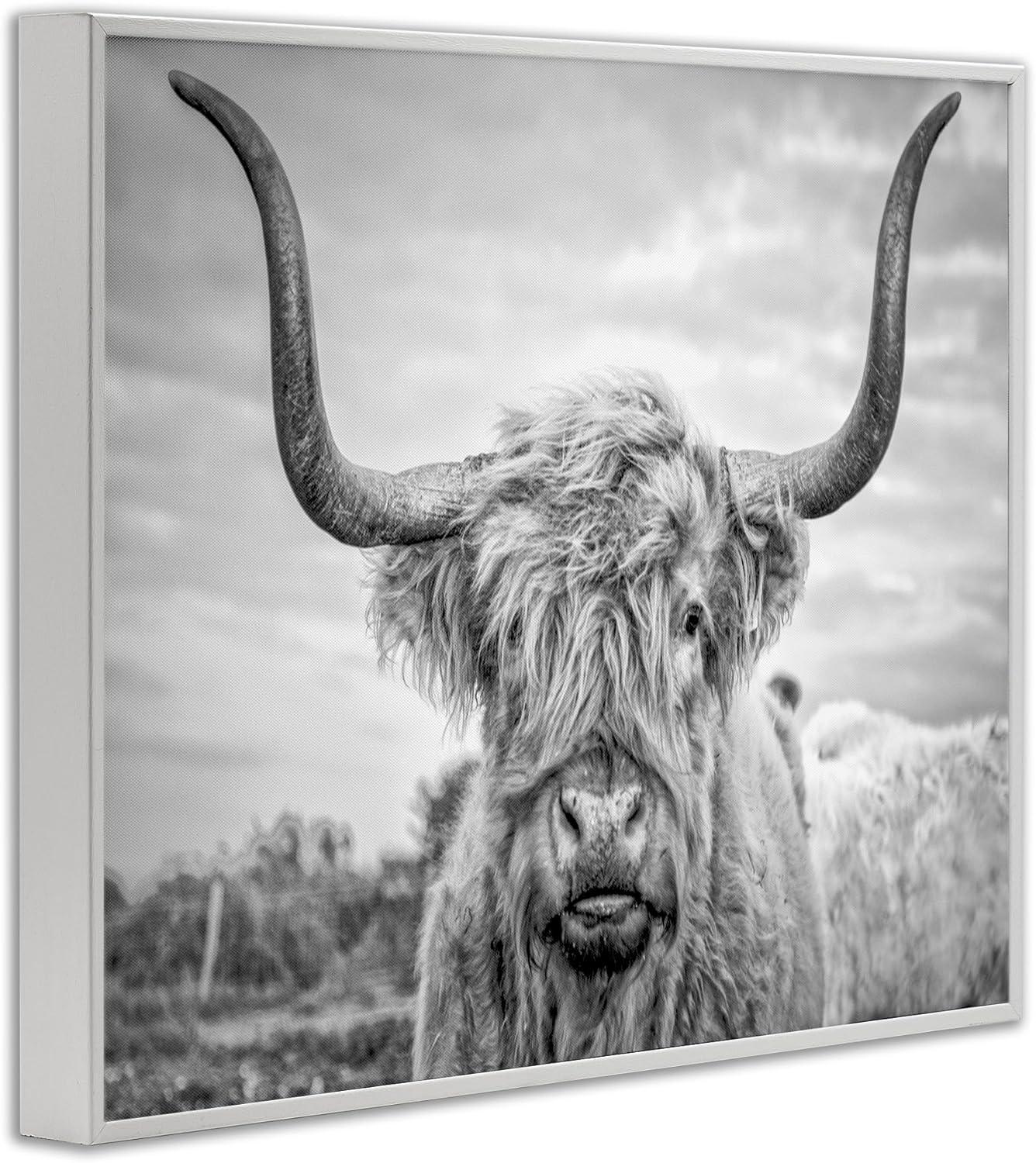 Stupell Industries Black and White Highland Cow Photograph