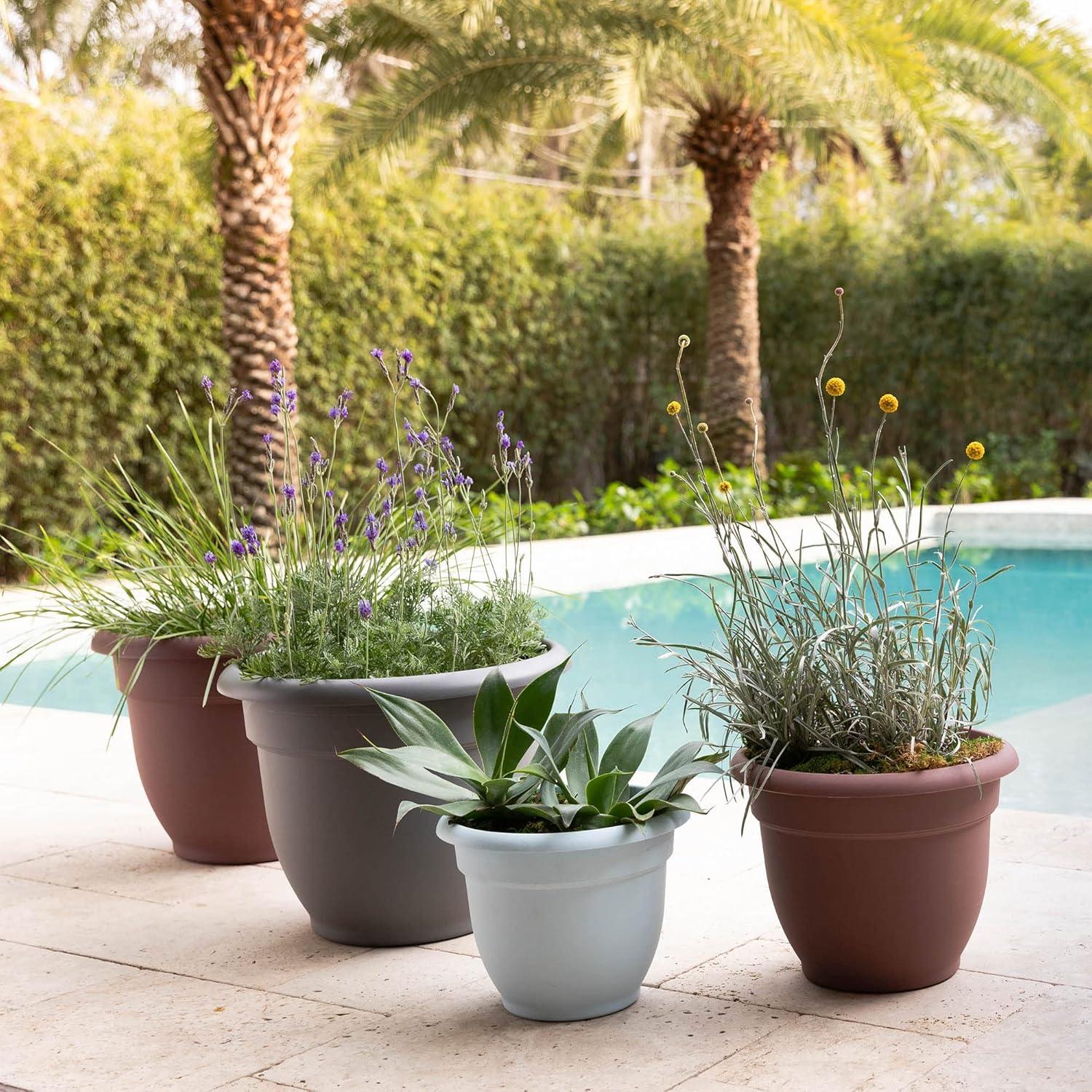 Bloem Ariana Self Watering Planter 12" Merlot. The Ariana planter wate, Each
