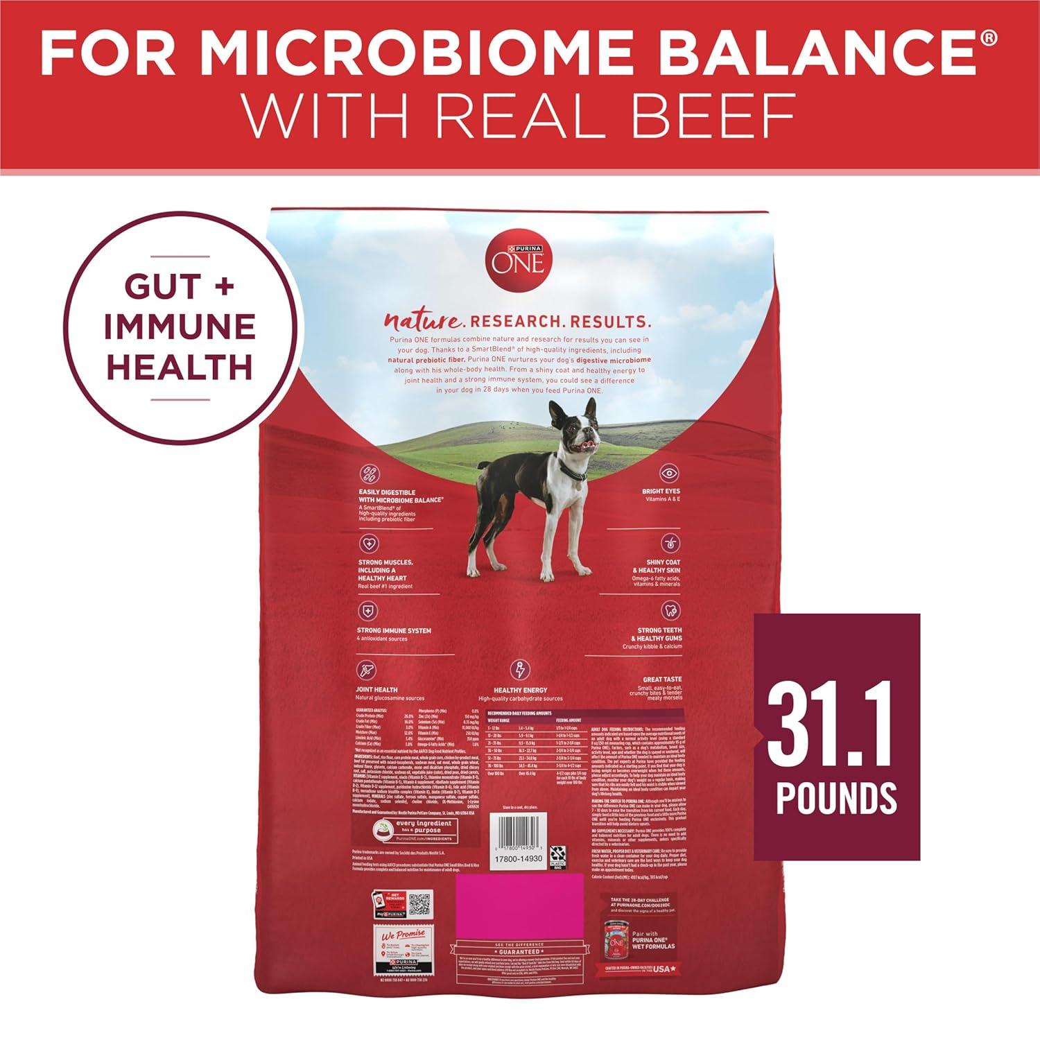 Purina ONE Mainline Small Bites Beef & Rice Flavor Dry Dog Food - 31.1lbs