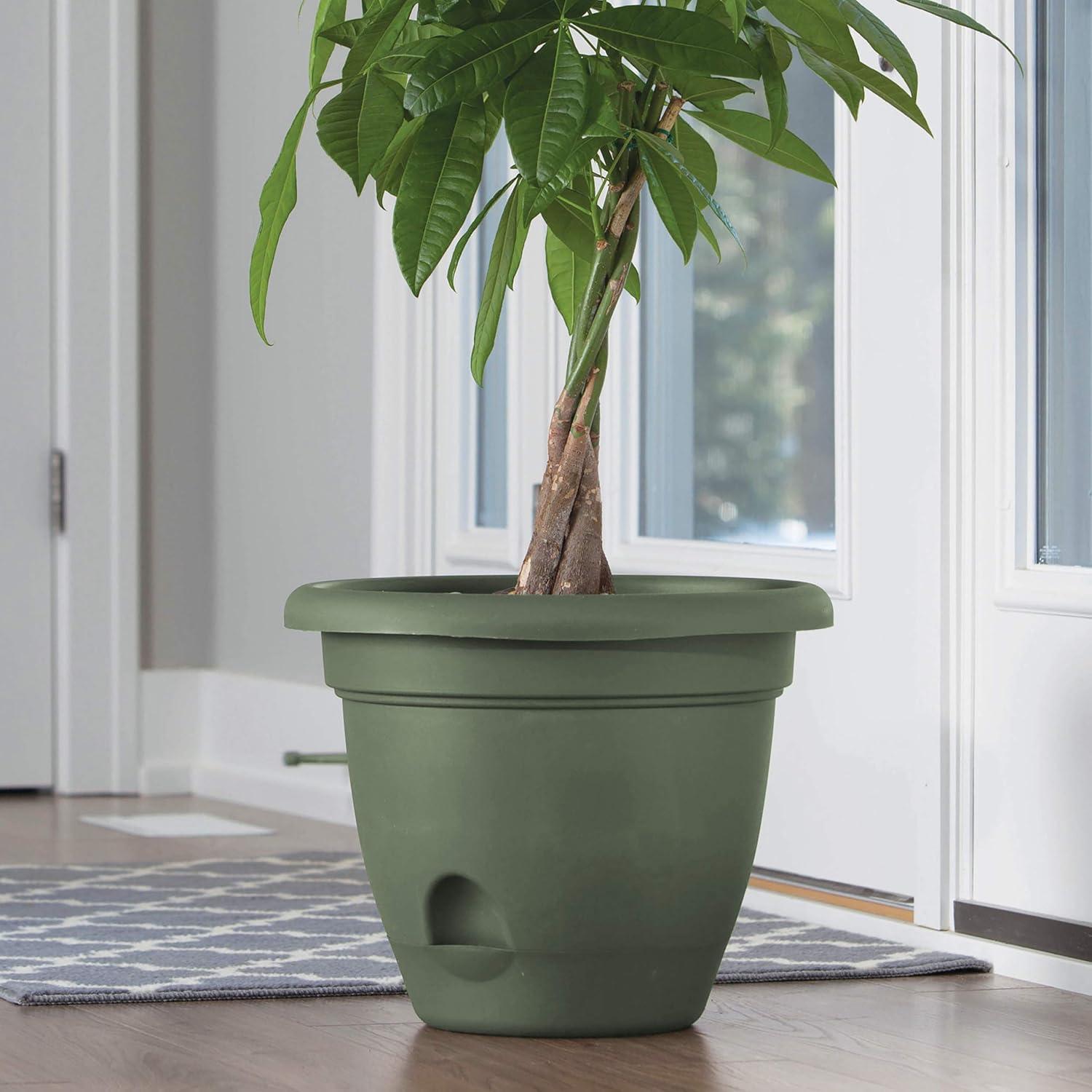 Bloem LP0642, Living Green, 6-Inch LP0842 Lucca Planter