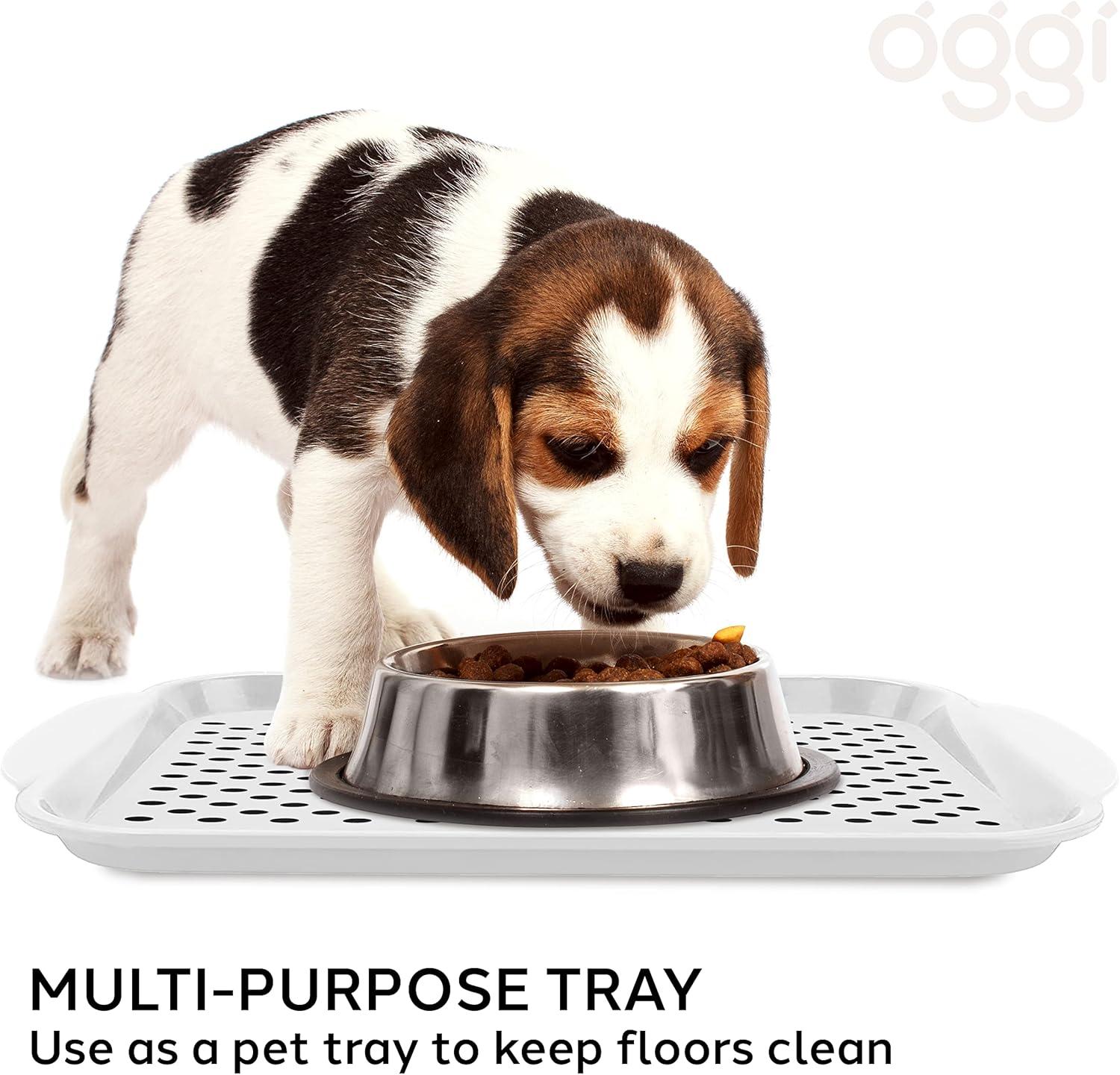 Oggi Serve Tray