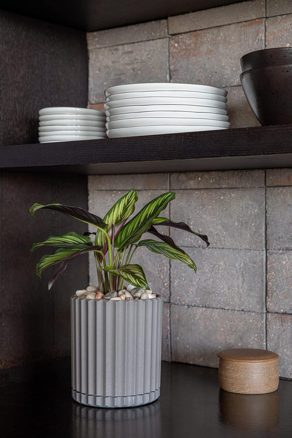 Veradek Mason Series Demi 6" Plastic-Stone Planter 2-Pack Gray