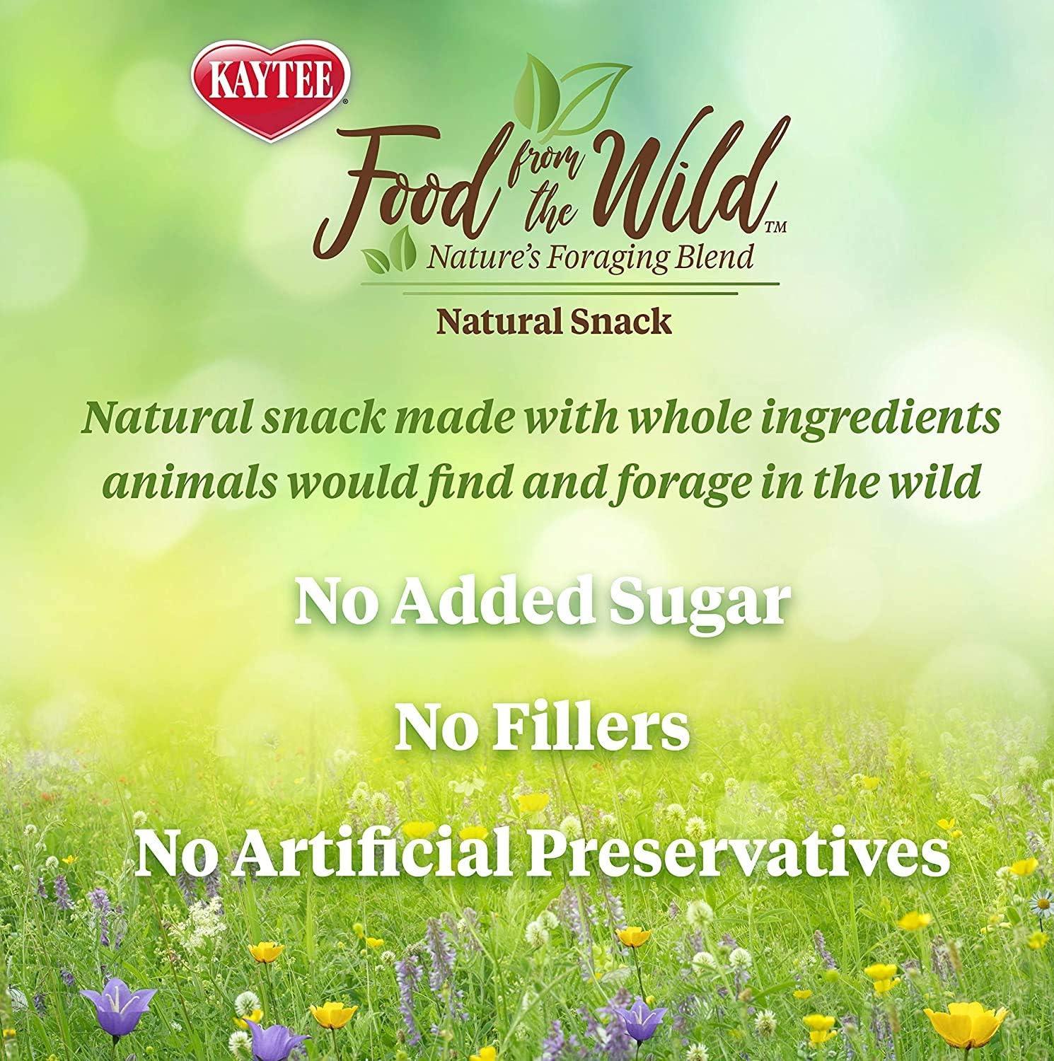 Kaytee Food From the Wild Natural Snack