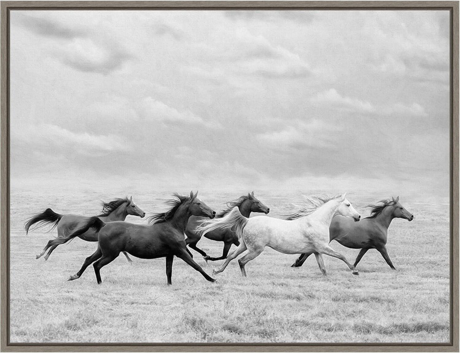 24" x 18" Horse Run I by PH Burchett Framed Canvas Wall Art - Amanti Art: Modern Lithograph, Sawtooth Back Mounted