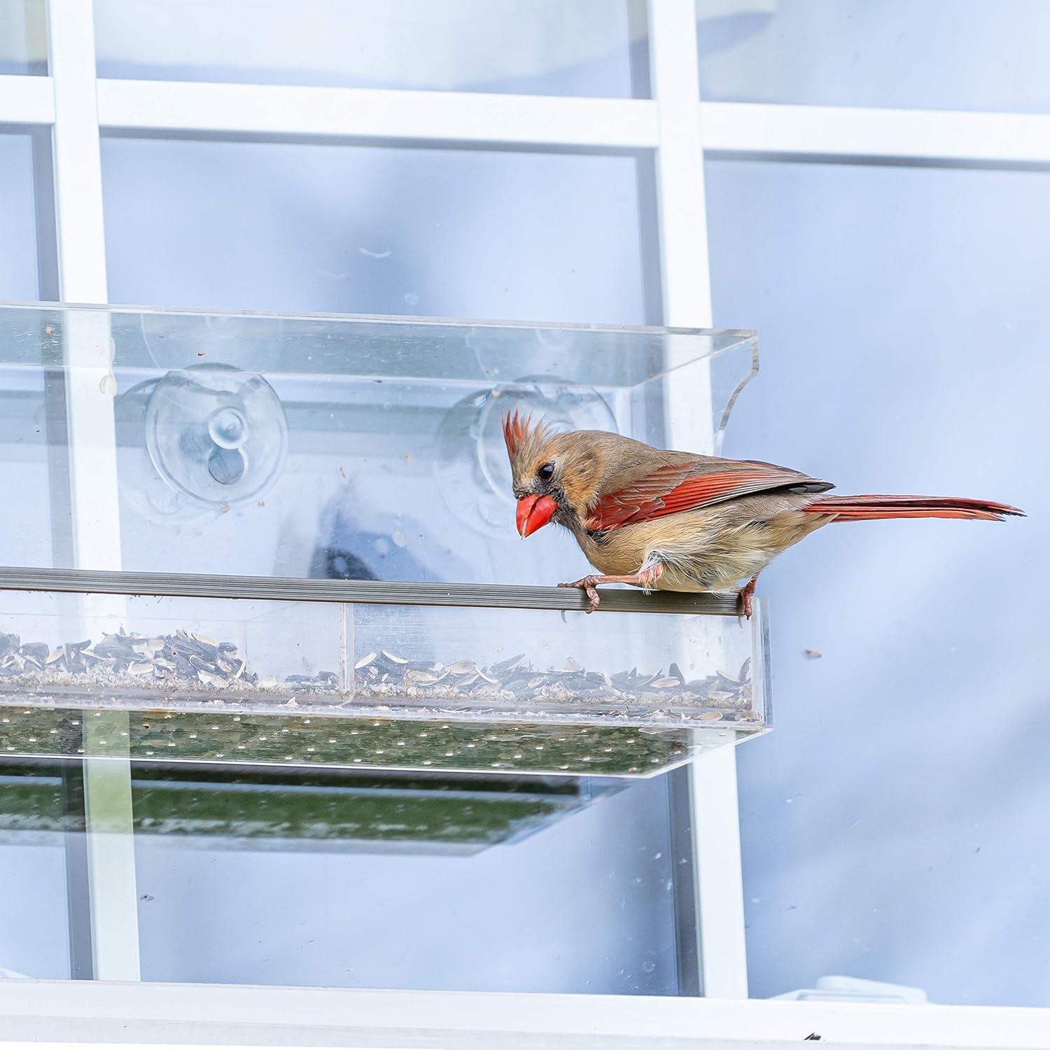 Clear Acrylic Window-Mounted Bird Feeder with Removable Seed Tray
