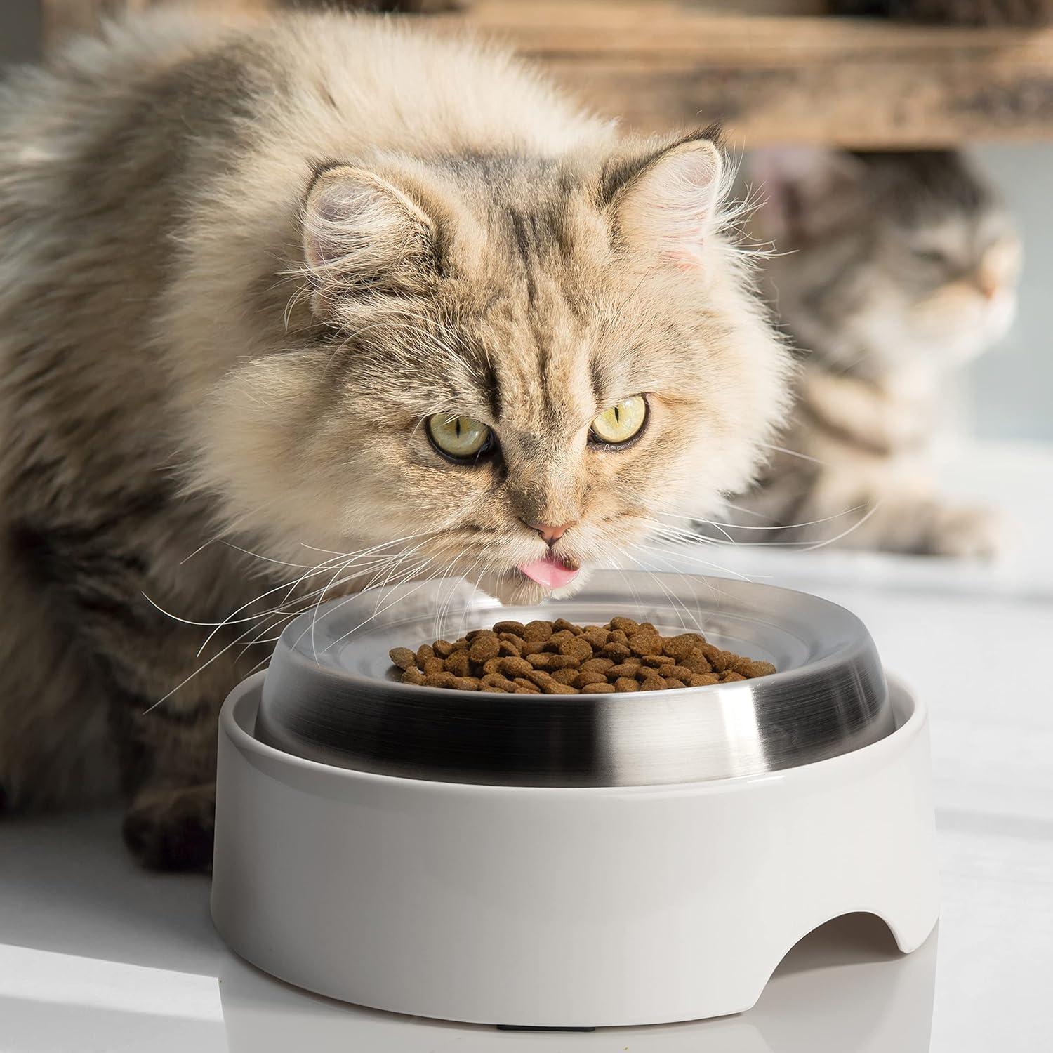 CatGuru Cat Bowls, Whisker Stress Free Cat Food Bowl, Reliefs Whisker Fatigue, Wide Cat Bowl, Non Slip Cat Food Bowls, Shallow Cat Dish, Cat Feeding & Watering Supplies (Stainless Steel)
