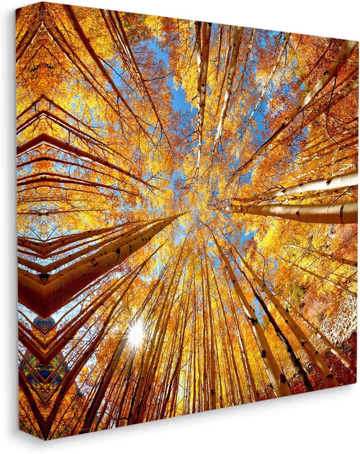 Stupell Industries Colorado Autumn Trees Nature Photography Gallery Wrapped Canvas Print Wall Art, 17 x 17