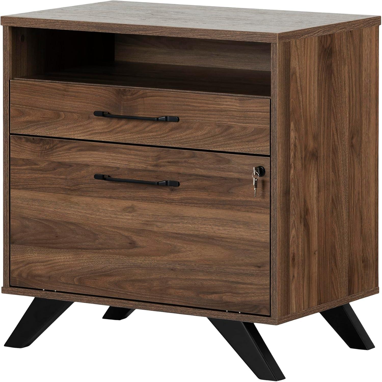 Boneita 29'' Wide 2 -Drawer File Cabinet