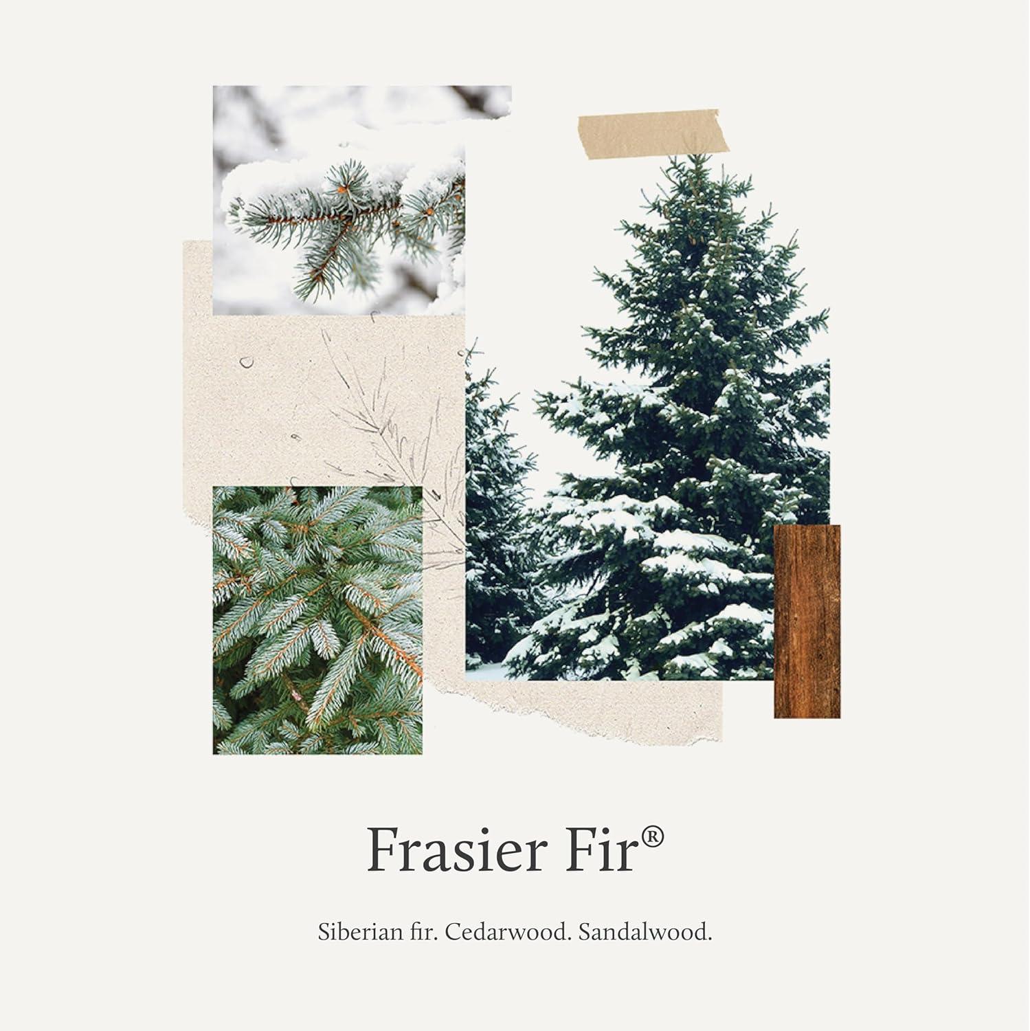 THYMES - Frasier Fir Poured Candle Tin, Gold Lid