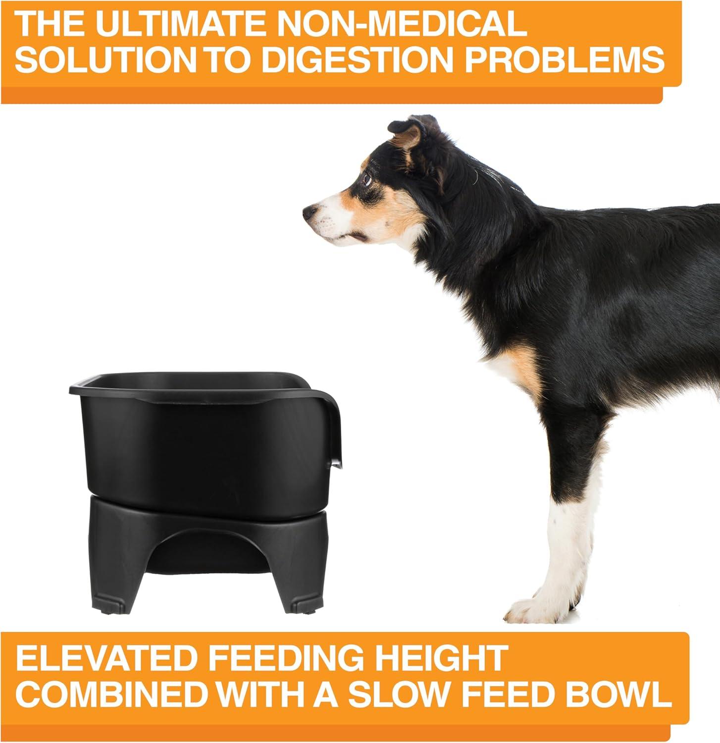 Black Elevated Stainless Steel Pet Feeder with Slow Feed Bowl