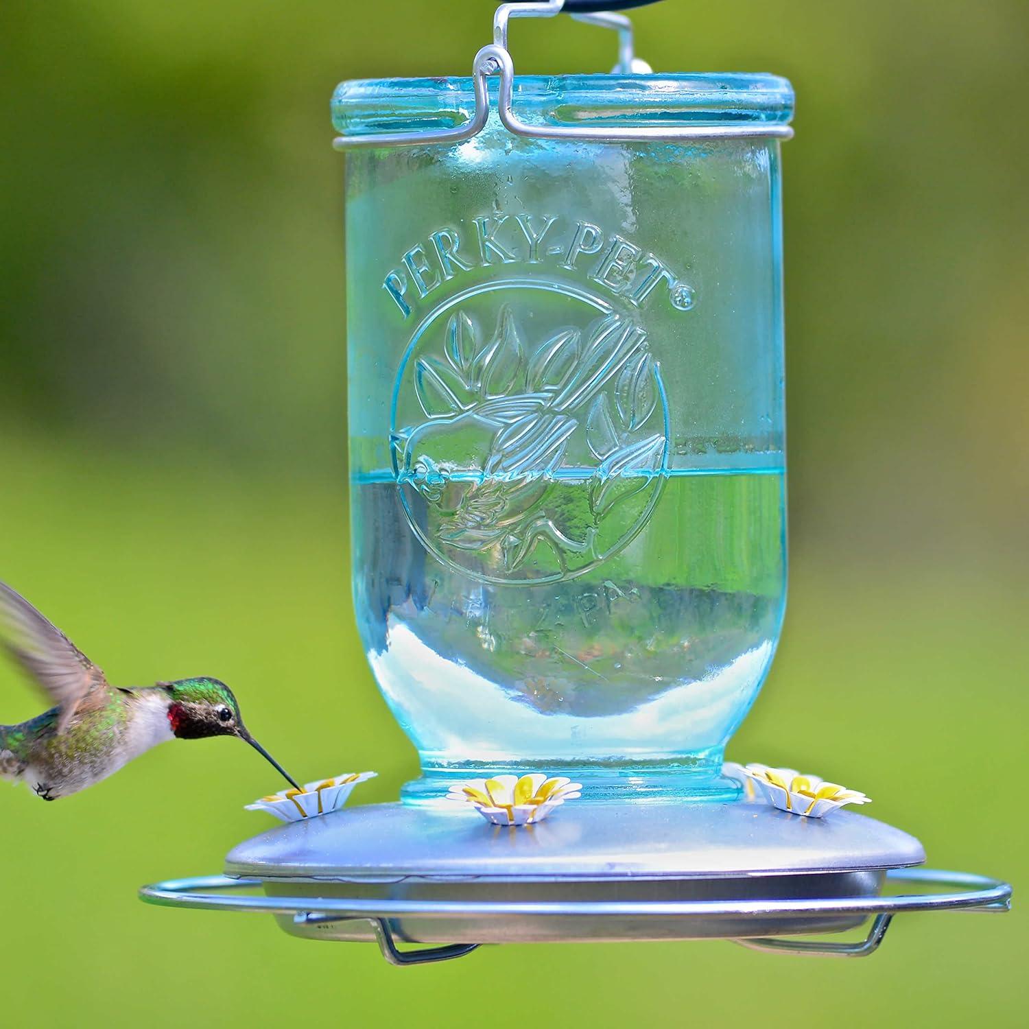 Blue Glass and Steel Mason Jar Hummingbird Feeder, 32 oz