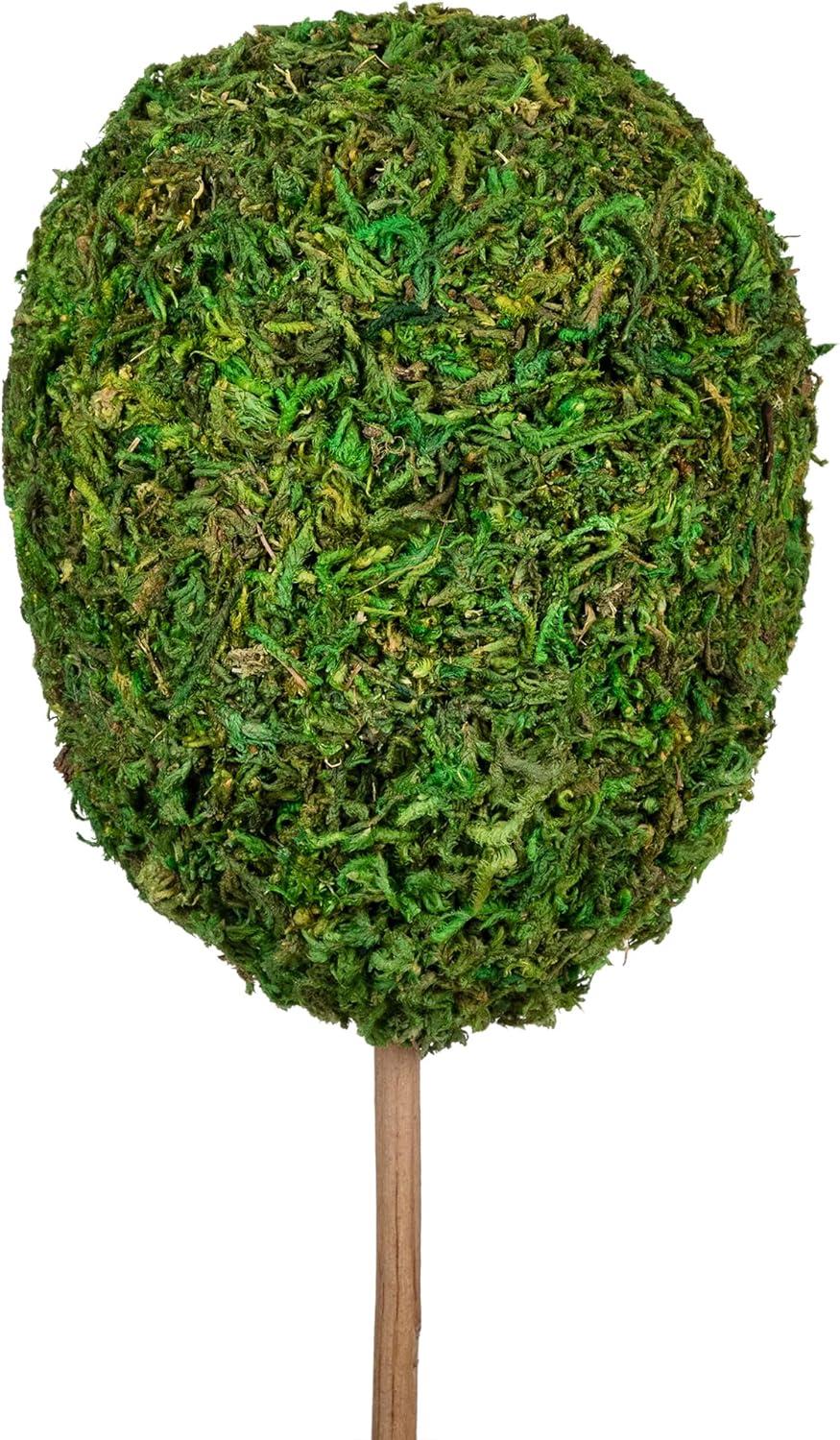 Northlight Seasonal Green Reindeer Moss Ball Potted Artificial Spring Topiary Tree