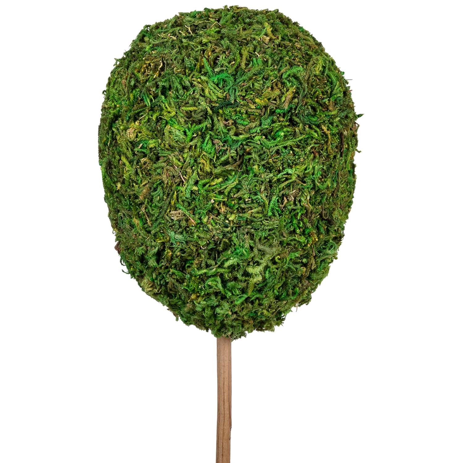 Northlight Seasonal Green Reindeer Moss Ball Potted Artificial Spring Topiary Tree