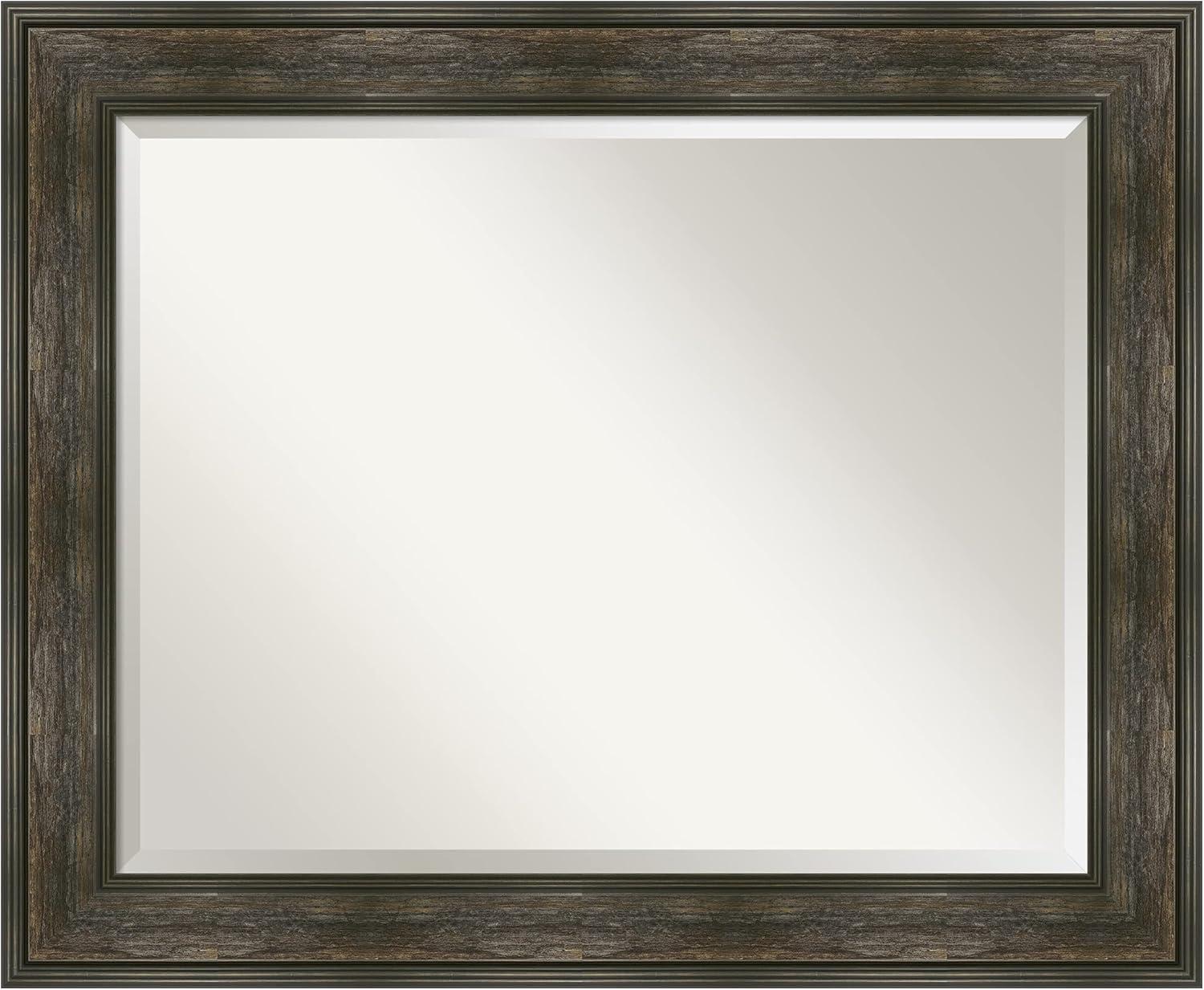 Rail Rustic Char Rectangular Bronze and Silver Bathroom Mirror 34 x 28 in