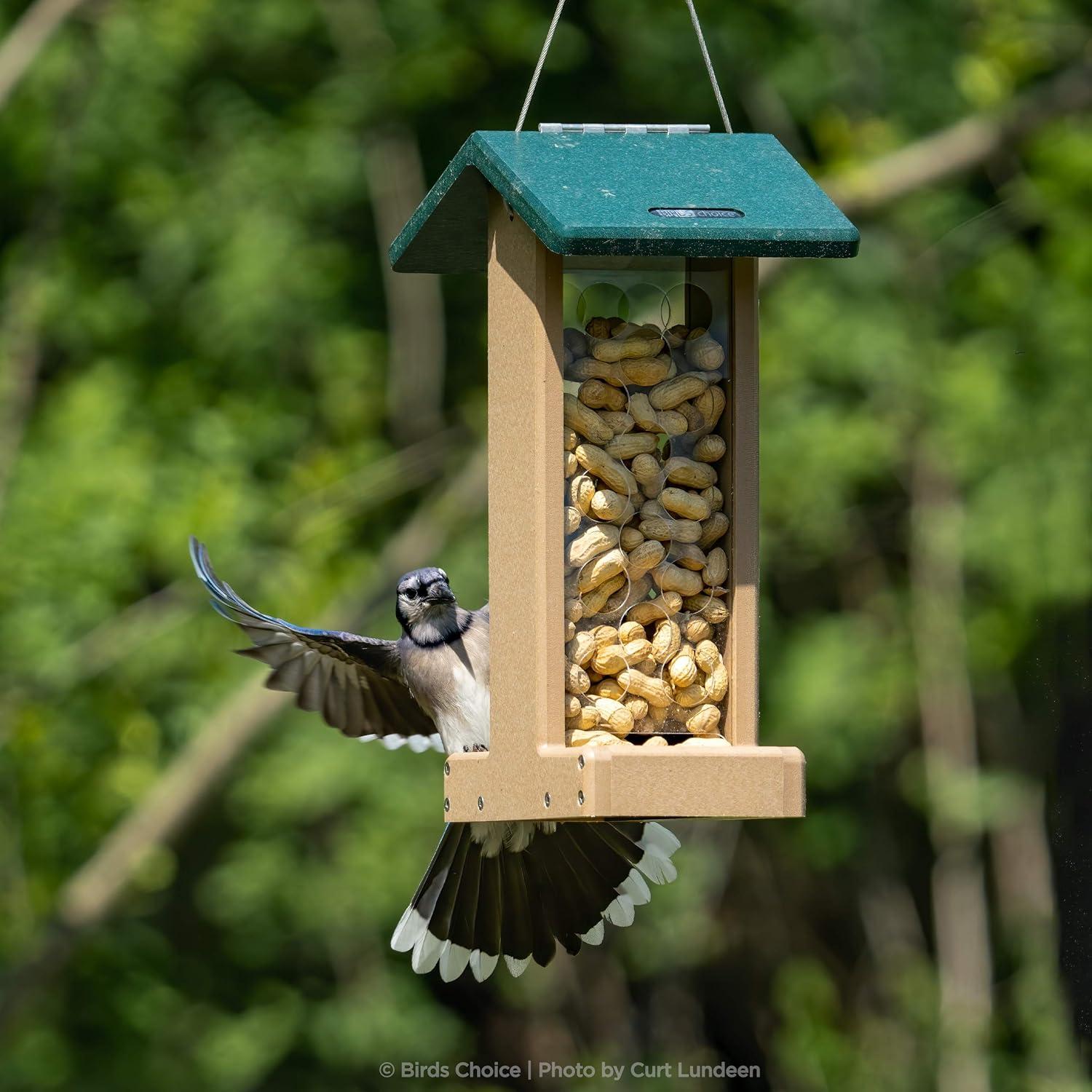 Birds Choice Hanging Hopper Bird Feeder