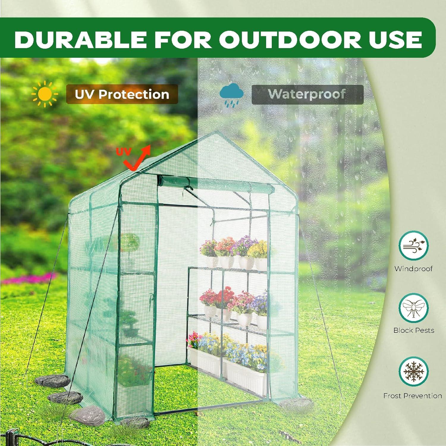 Green Walk-In Greenhouse with PE Cover and Steel Frame