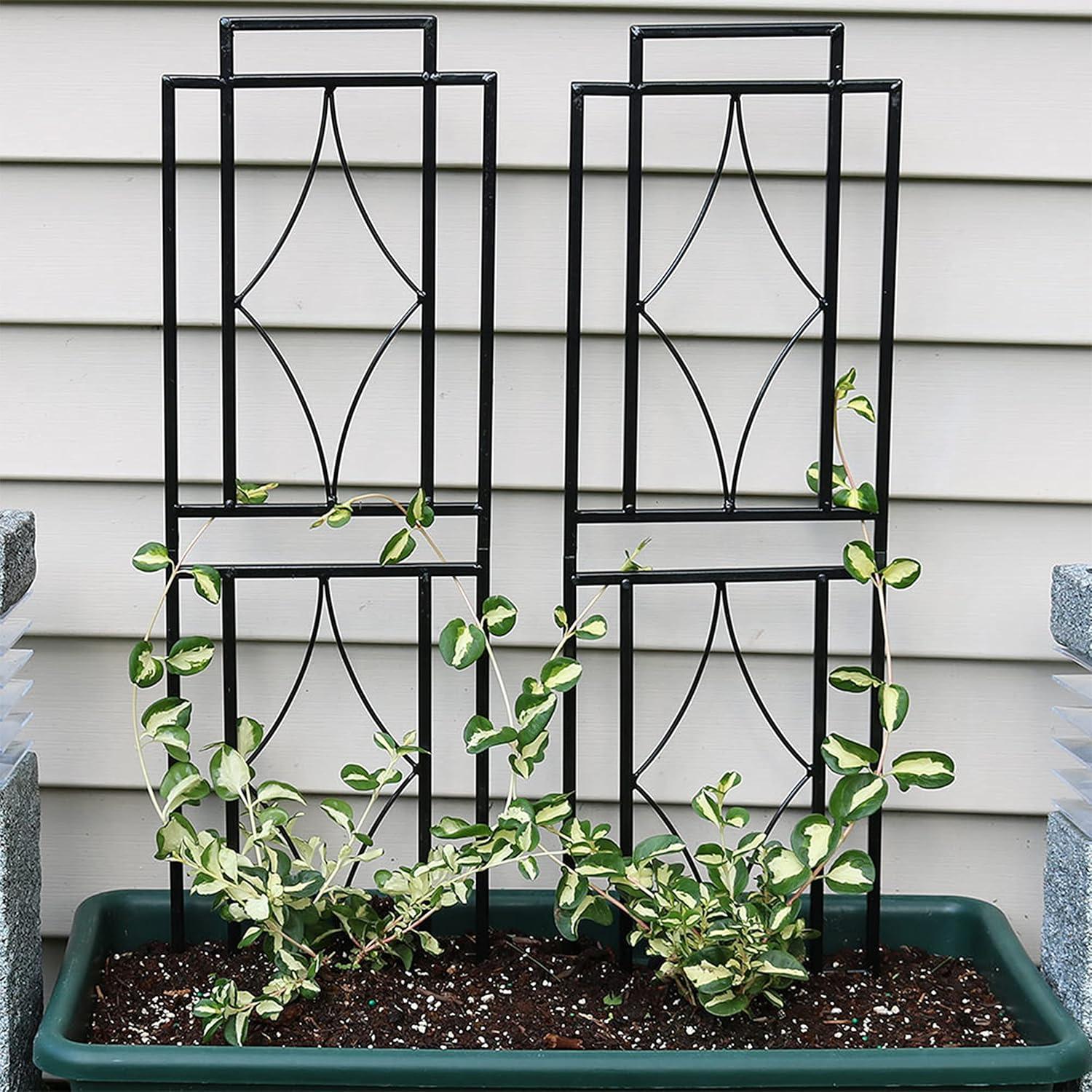 SunnyDaze Decor Contemporary 8" x 30" Black Steel Garden Trellis for Climbing Plants