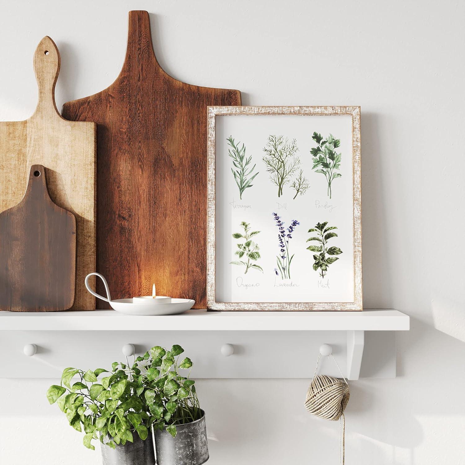 Barnyard Designs Kitchen Herbs and Spices Wall Art Decor Botanical Print Sign Rustic Country Farmhouse Wood Plaque Framed Home Wall Decor 12" x 16" (Herbs B / 1 Sign)