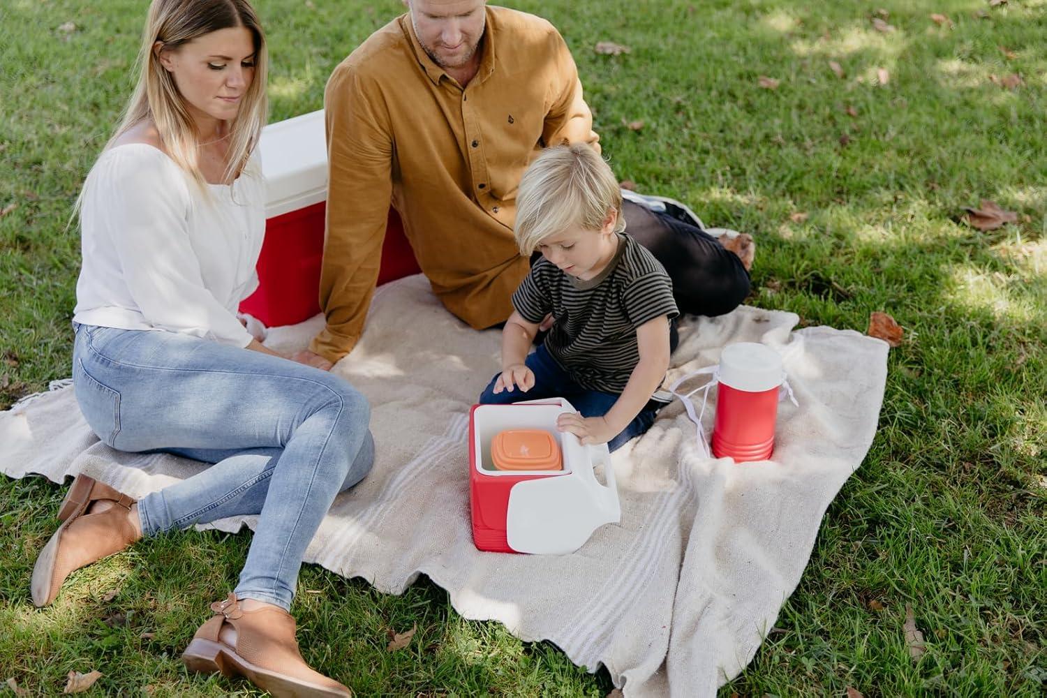 Igloo 24 Can Legend Cooler & Reviews | Wayfair