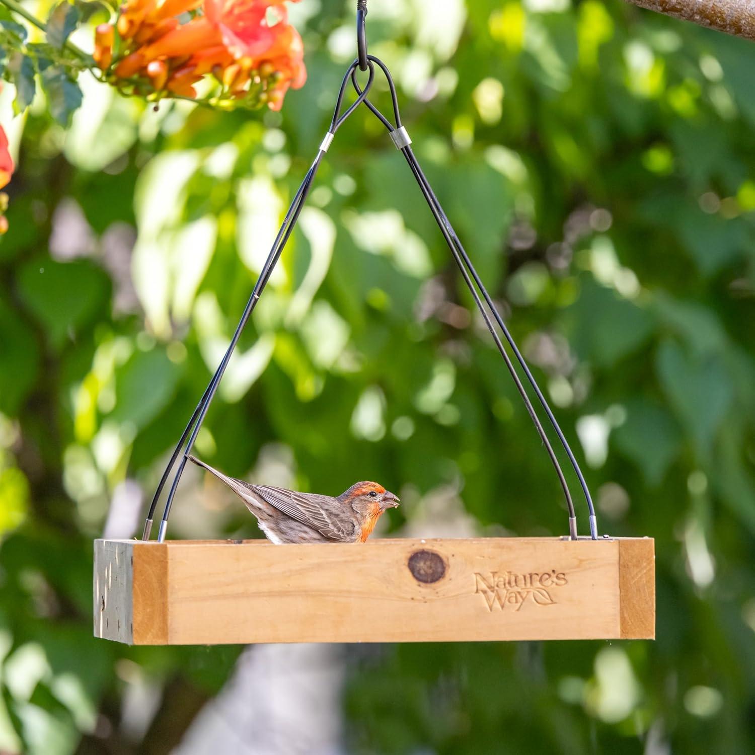Nature's Way Cedar Tray Bird Feeder: Weather-Resistant Wood, No Assembly, 12x12 Hanging Design
