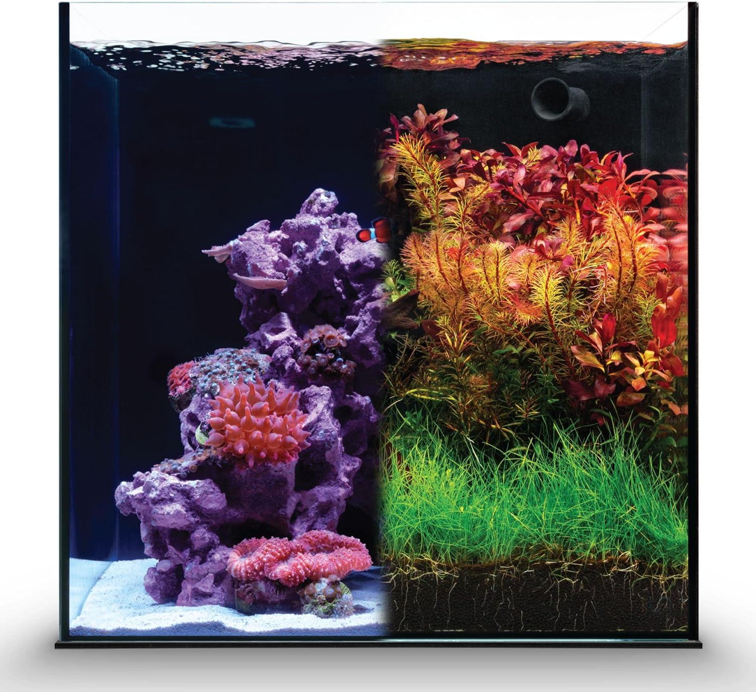 Ultum Nature Systems Dual All in One Complete Rimless Aquarium for Freshwater & Saltwater Tanks, Triple-Chamber Filter System Included, Integrated Fish Tank Kit w/Sleek Design - 11 Gallon, 35A, Black