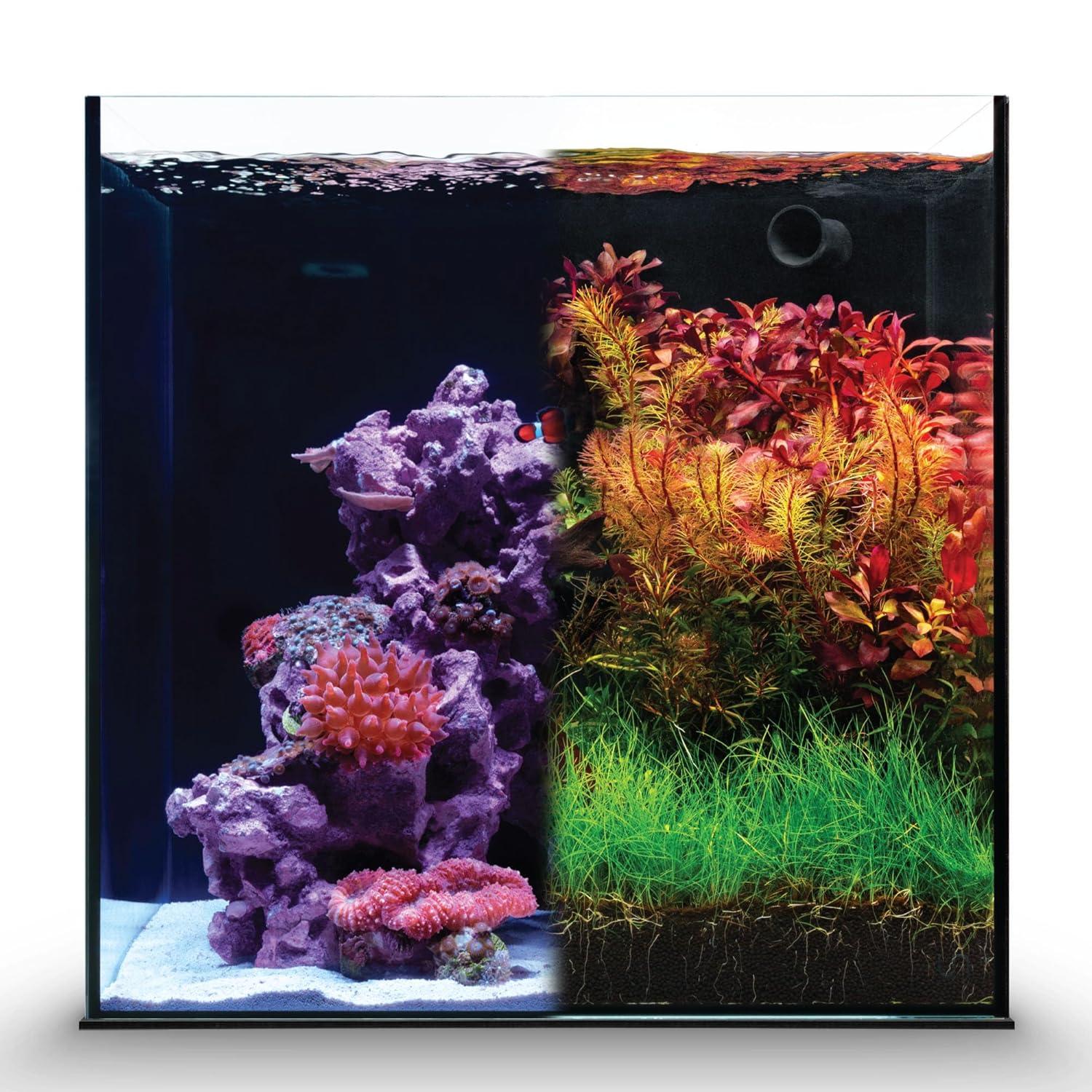 Ultum Nature Systems Dual All in One Complete Rimless Aquarium for Freshwater & Saltwater Tanks, Triple-Chamber Filter System Included, Integrated Fish Tank Kit w/Sleek Design - 11 Gallon, 35A, Black