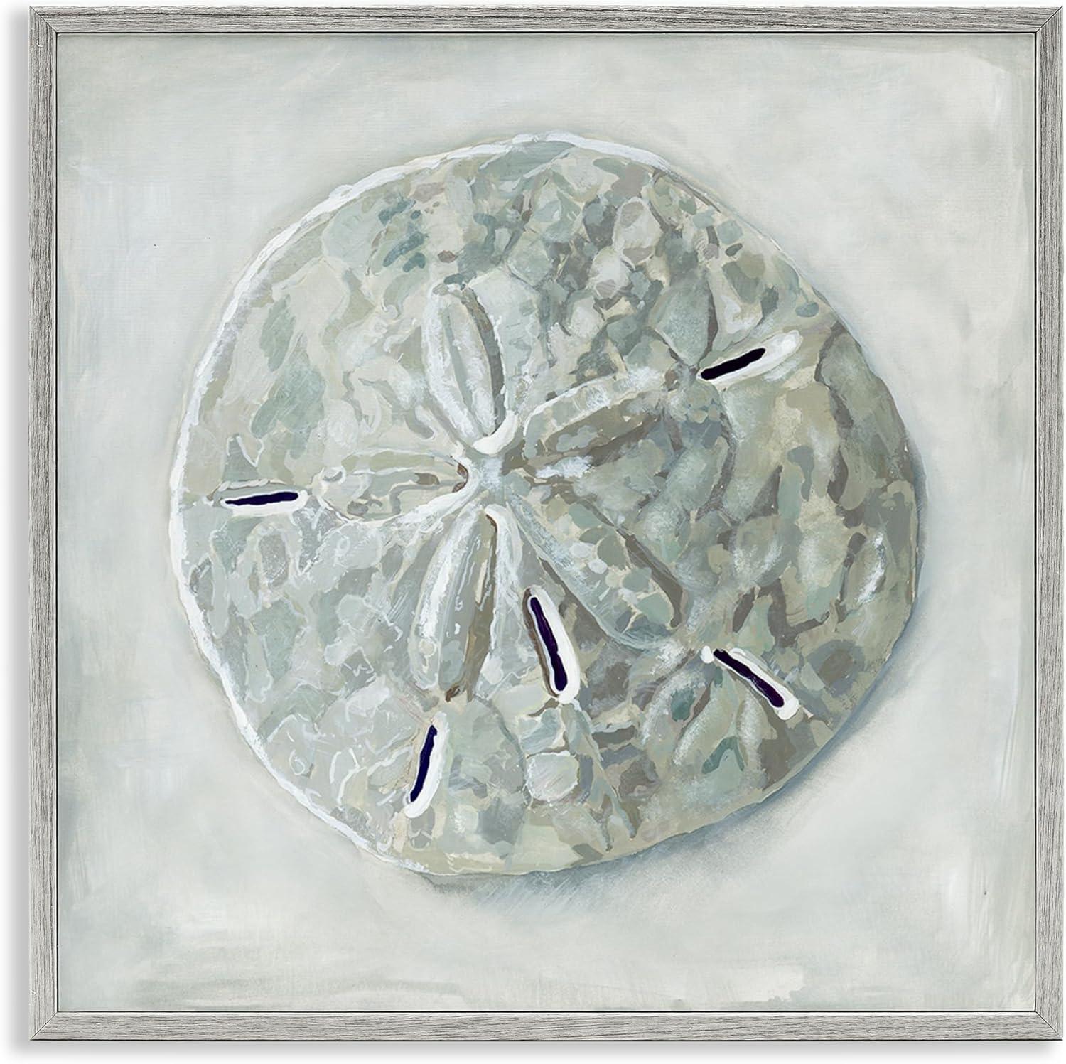 Stupell Industries Sand Dollar Seashell Painting Gray Framed Art Print Wall Art, Design by Erica Christopher