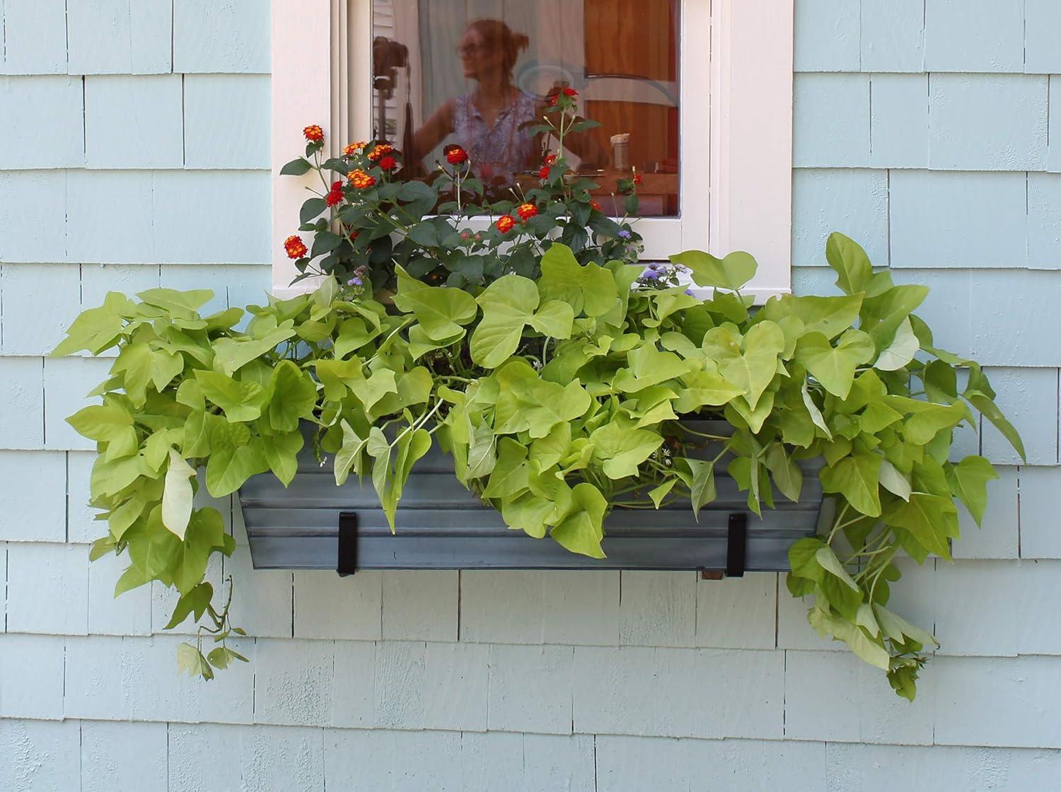 ACHLA Designs Galvanized With Wall Brackets Rectangular Steel Planter Boxes