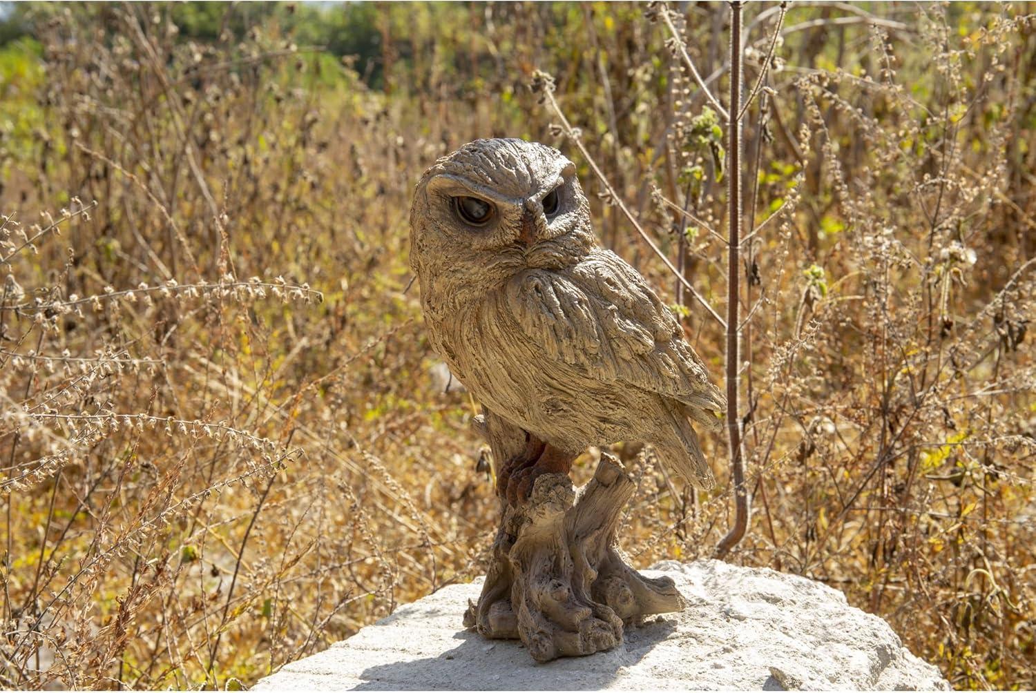 Trumpet Owl -Driftwood Look