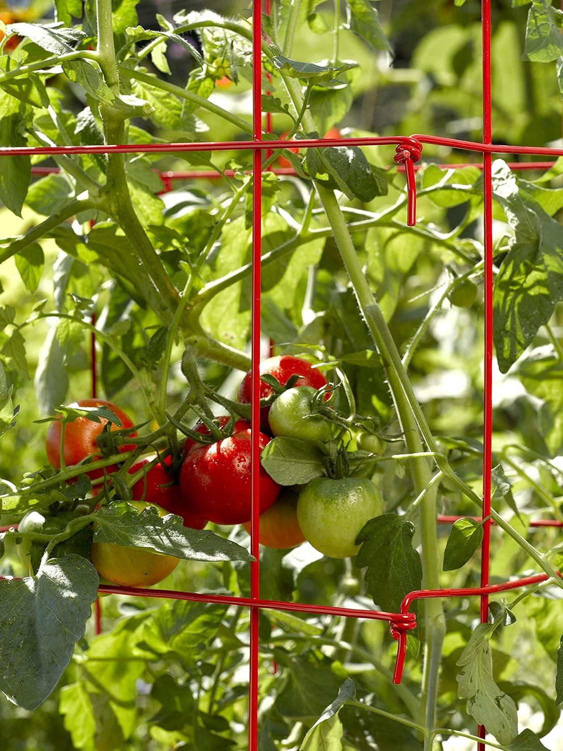 Gardener's Supply Company Single Steel Tomato Cage 32 Inch High - Red