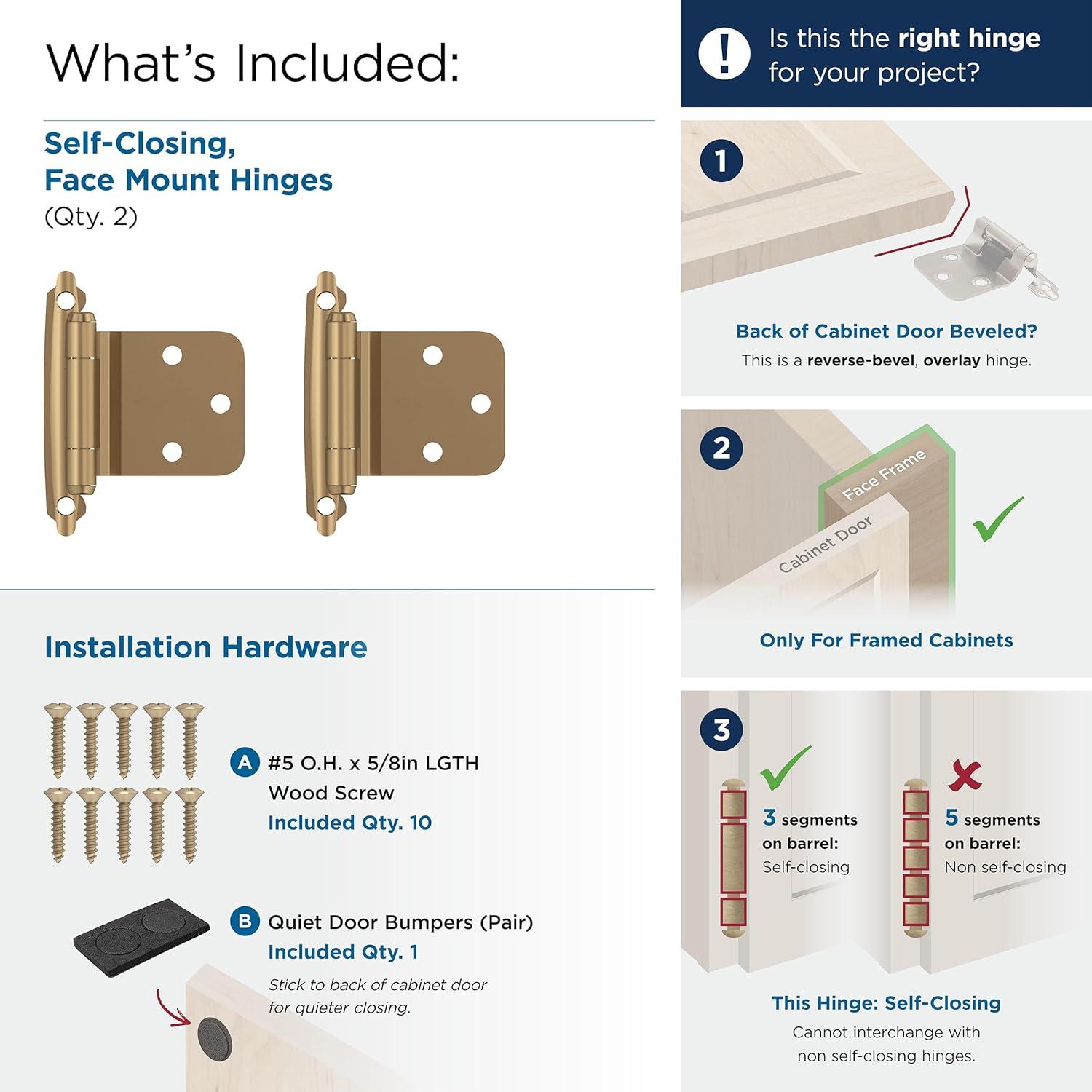 30° Reverse Bevel Overlay Hinge
