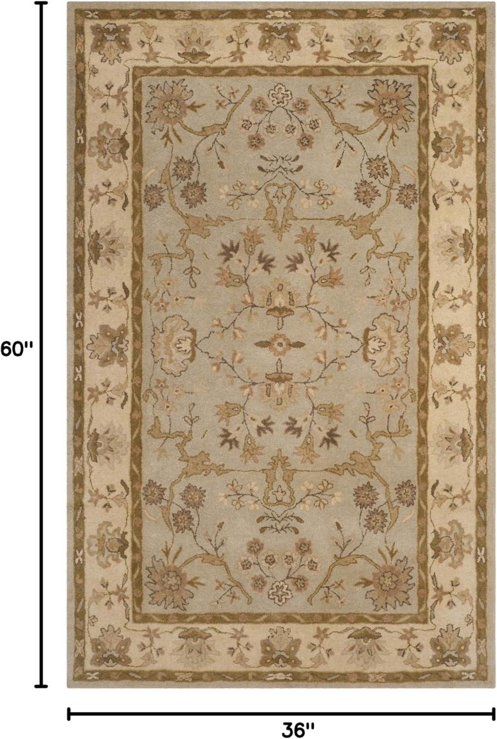 Antiquity AT62 Hand Tufted Area Rug  - Safavieh