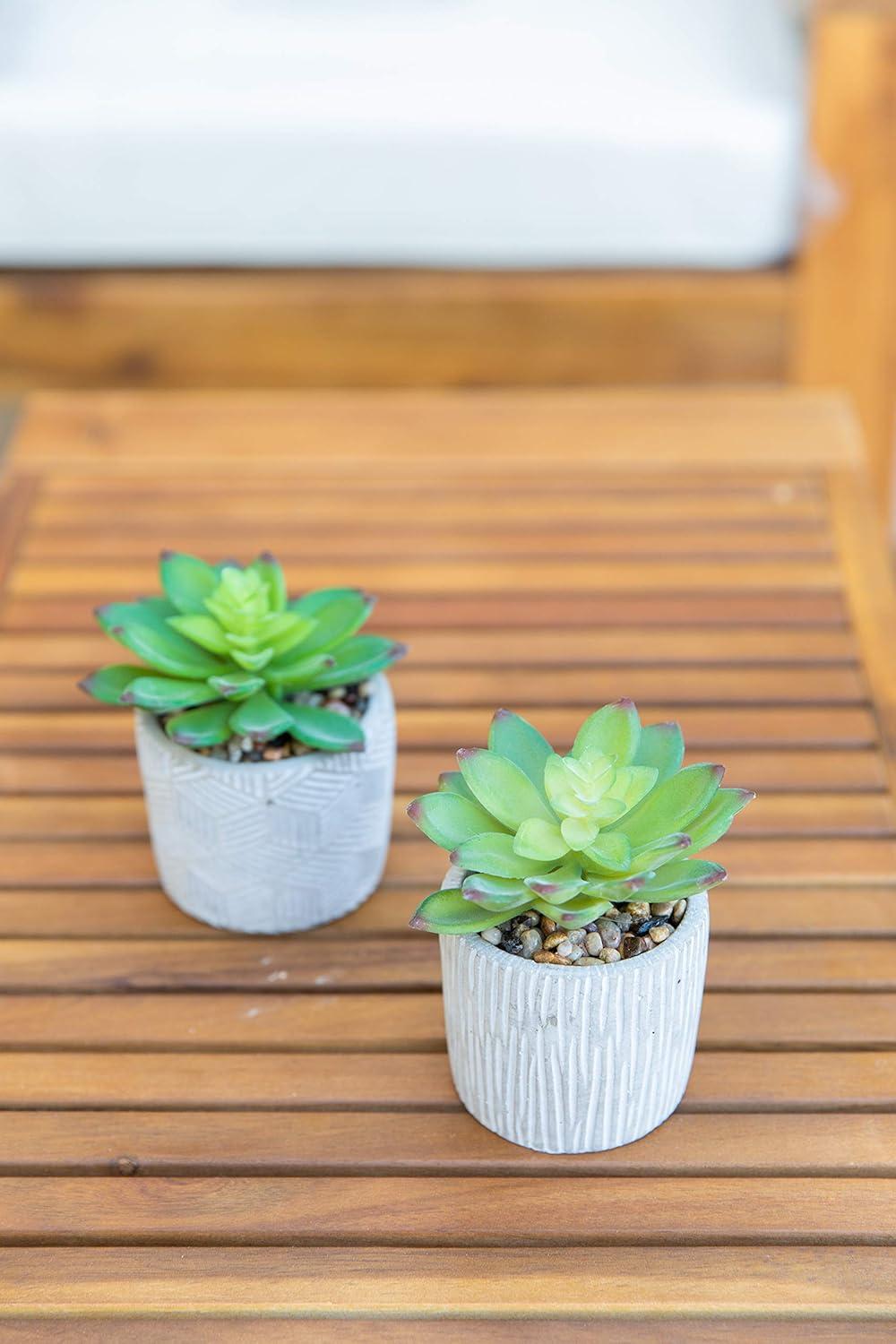 Valentine's Day Faux Succulent Duo in Artisan Cement Pots