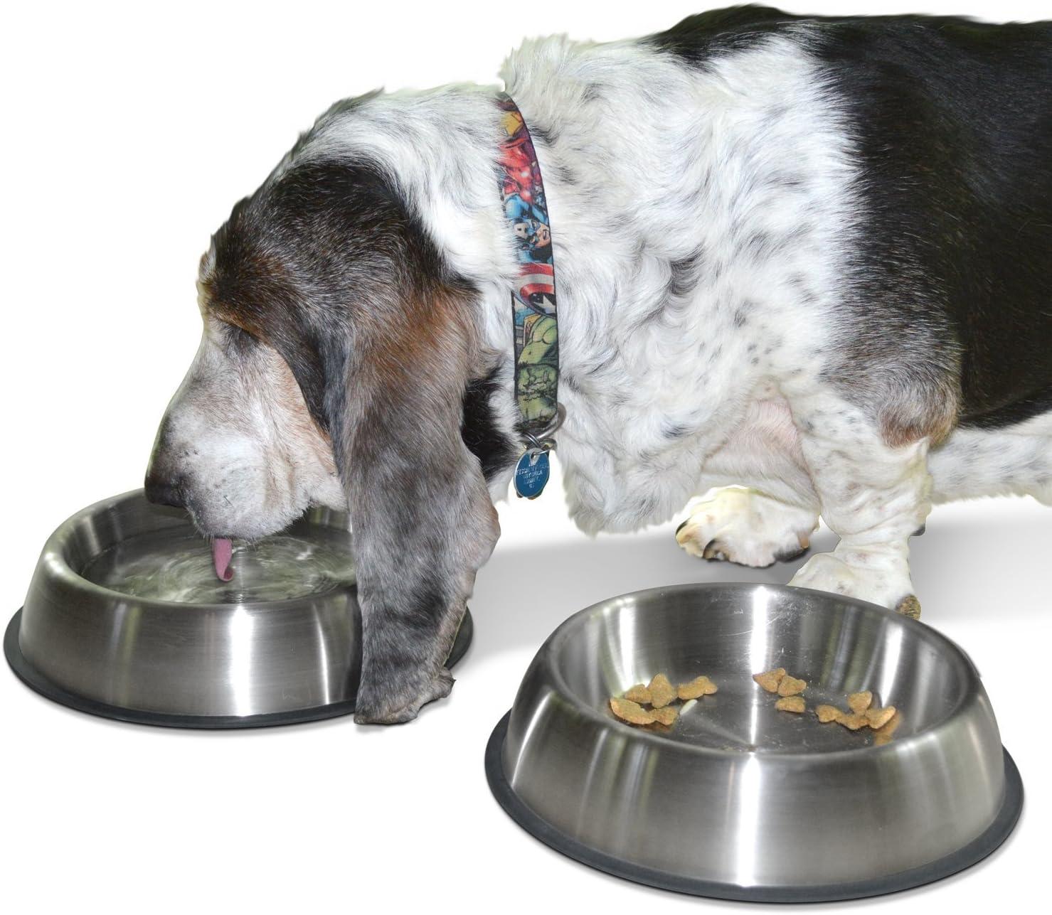 PetFusion Premium Brushed Anti-Tip Dog & Cat Bowls (Set of 2 Bowls). Food Grade Stainless Steel. Bonded Silicone Ring for Traction, Metallic, 32 oz
