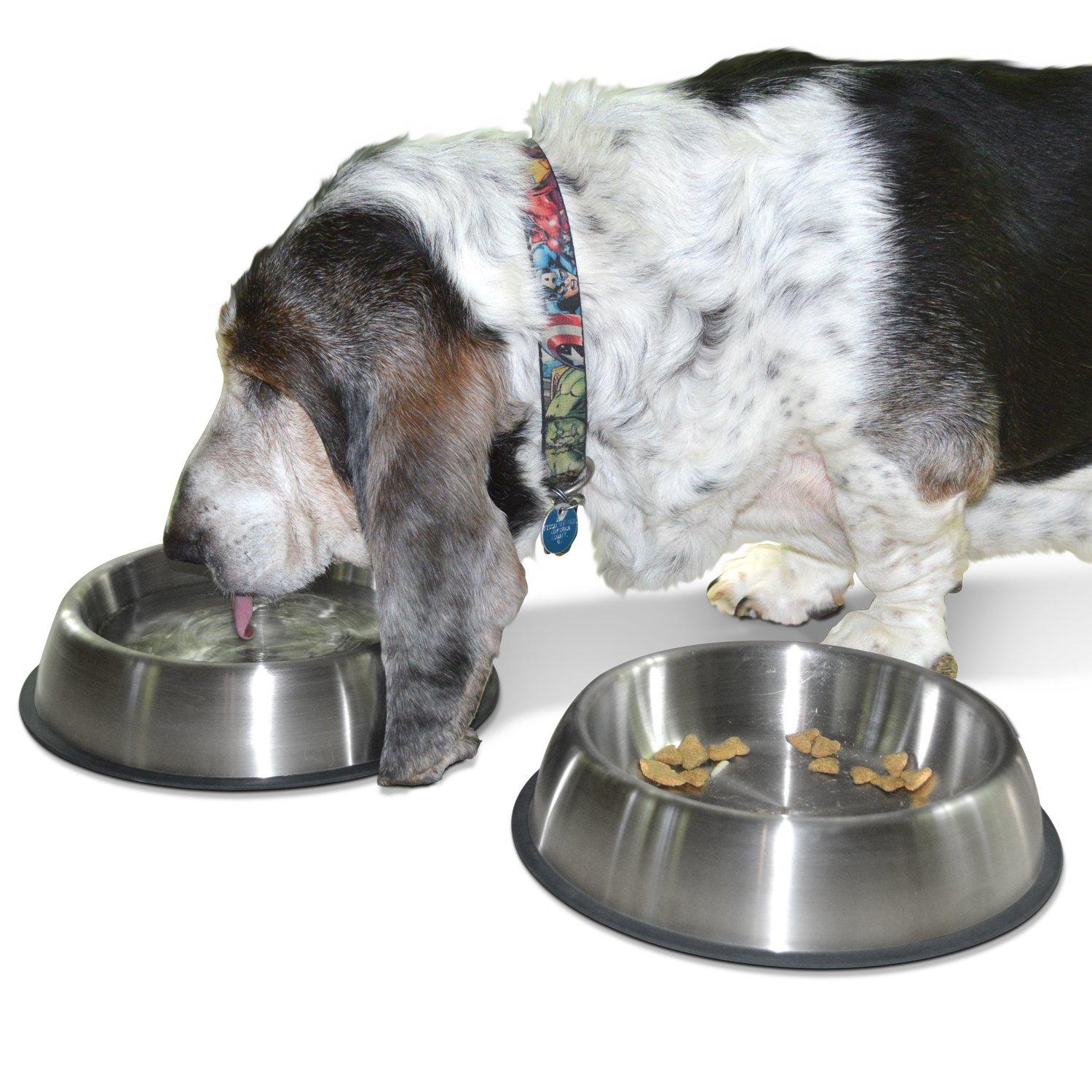 PetFusion Premium Brushed Anti-Tip Dog & Cat Bowls (Set of 2 Bowls). Food Grade Stainless Steel. Bonded Silicone Ring for Traction, Metallic, 32 oz