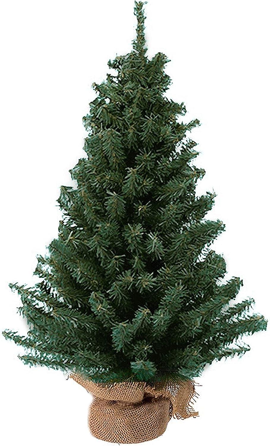 Kurt Adler 12 Miniature Pine Tree