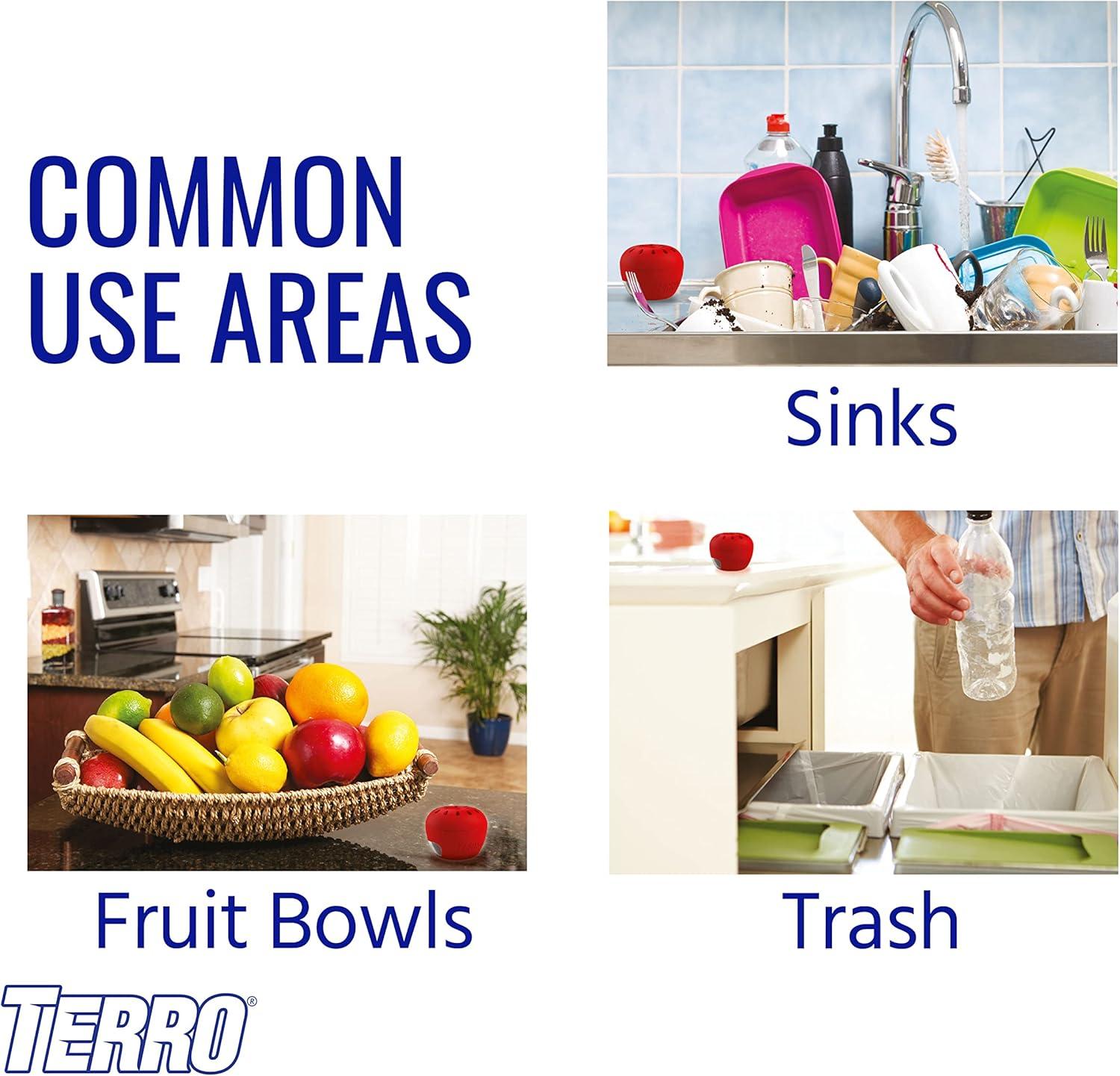 TERRO T2503-3 Ready-to-Use Indoor Fruit Fly Trap with Built in Window - 6 Traps + 270 Day Lure Supply