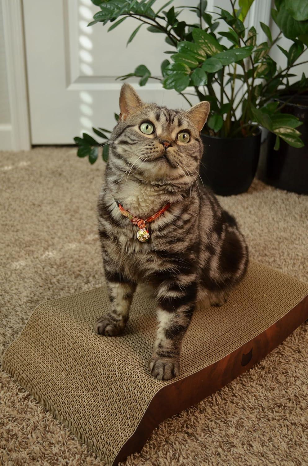 Necoichi Cardboard Cat Scratcher Bed for Indoor Cats - Cat Scratching Board, Horizontal Cat Scratch Pad Lounger with Reversible Usability and Extra Comfort for Lounge, Curved (22" Large, Dark Cherry)